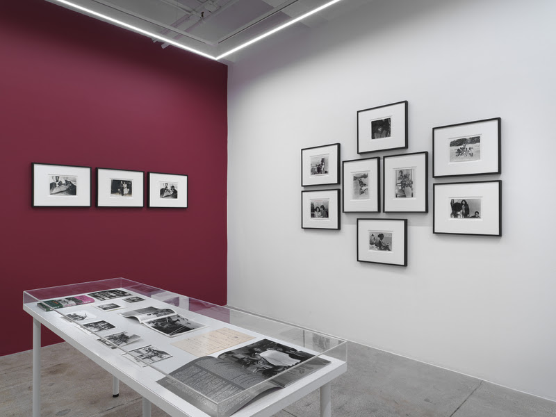 Mao Ishikawa, Rogue at Alison Bradley Projects, photo 2
