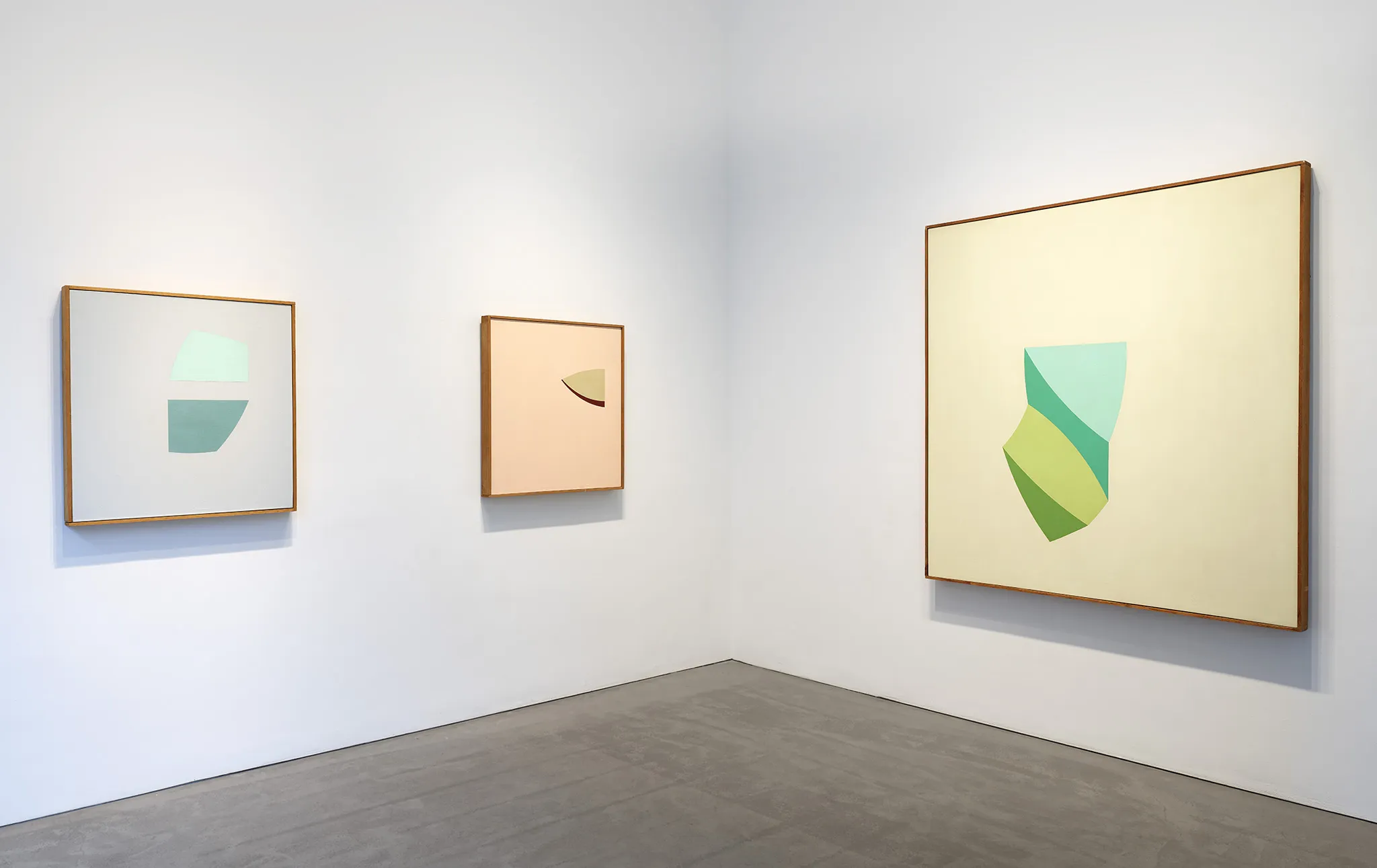 Walter Darby Bannard, Paintings From 1959-1965 at Berry Campbell, photo 6