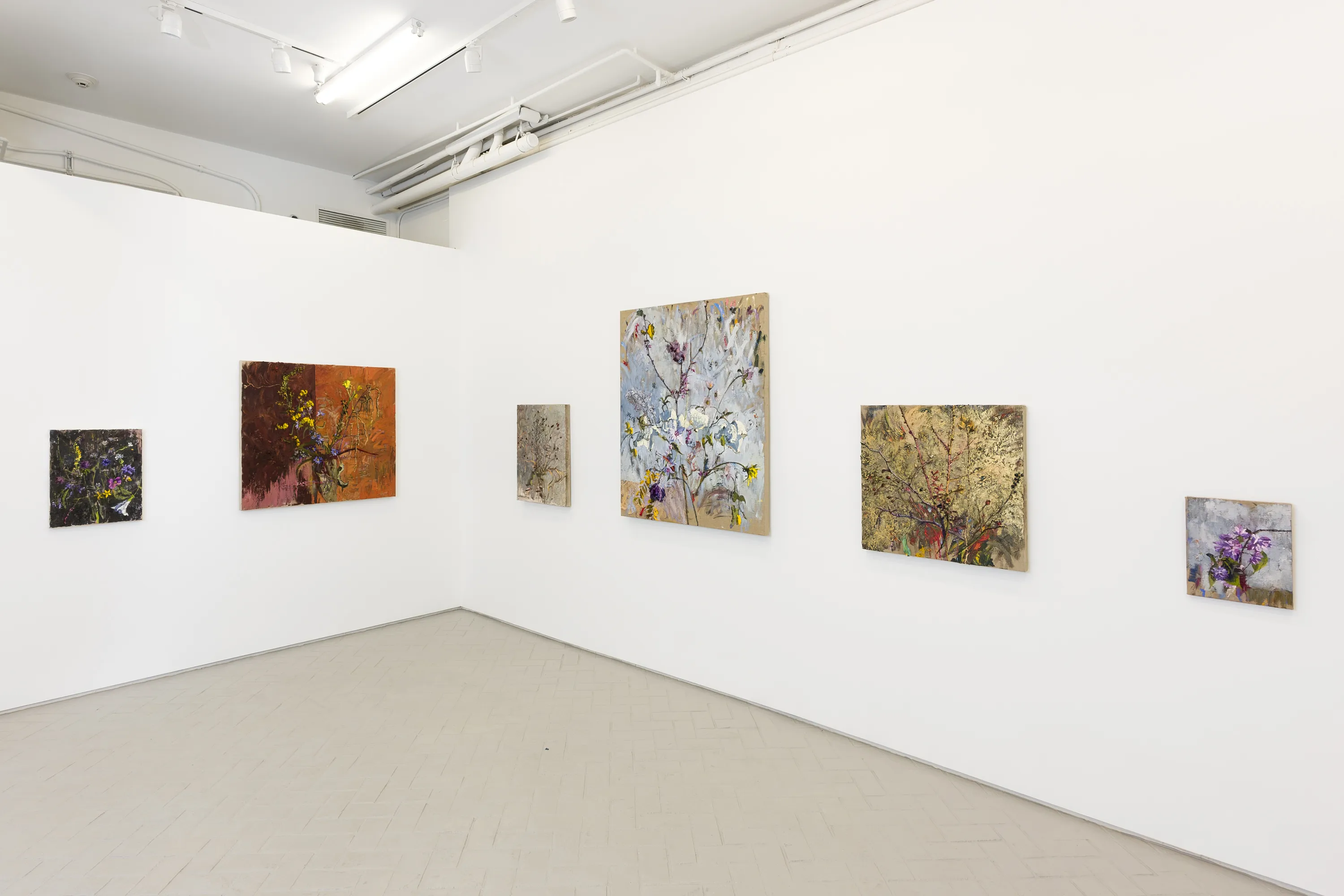 Avital Burg, A Passing Shadow and a Vanishing Cloud at Nazarian / Curcio, photo 2