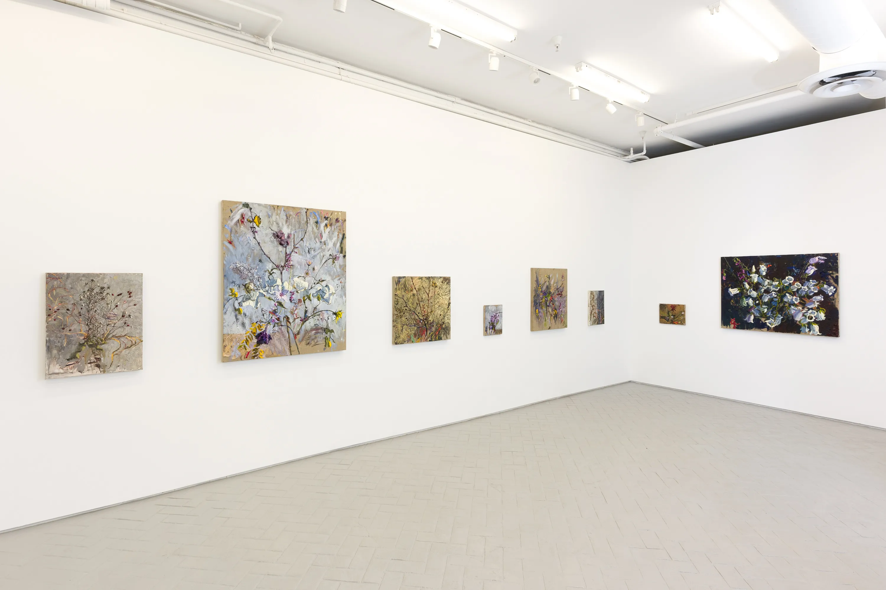Avital Burg, A Passing Shadow and a Vanishing Cloud at Nazarian / Curcio, photo 4