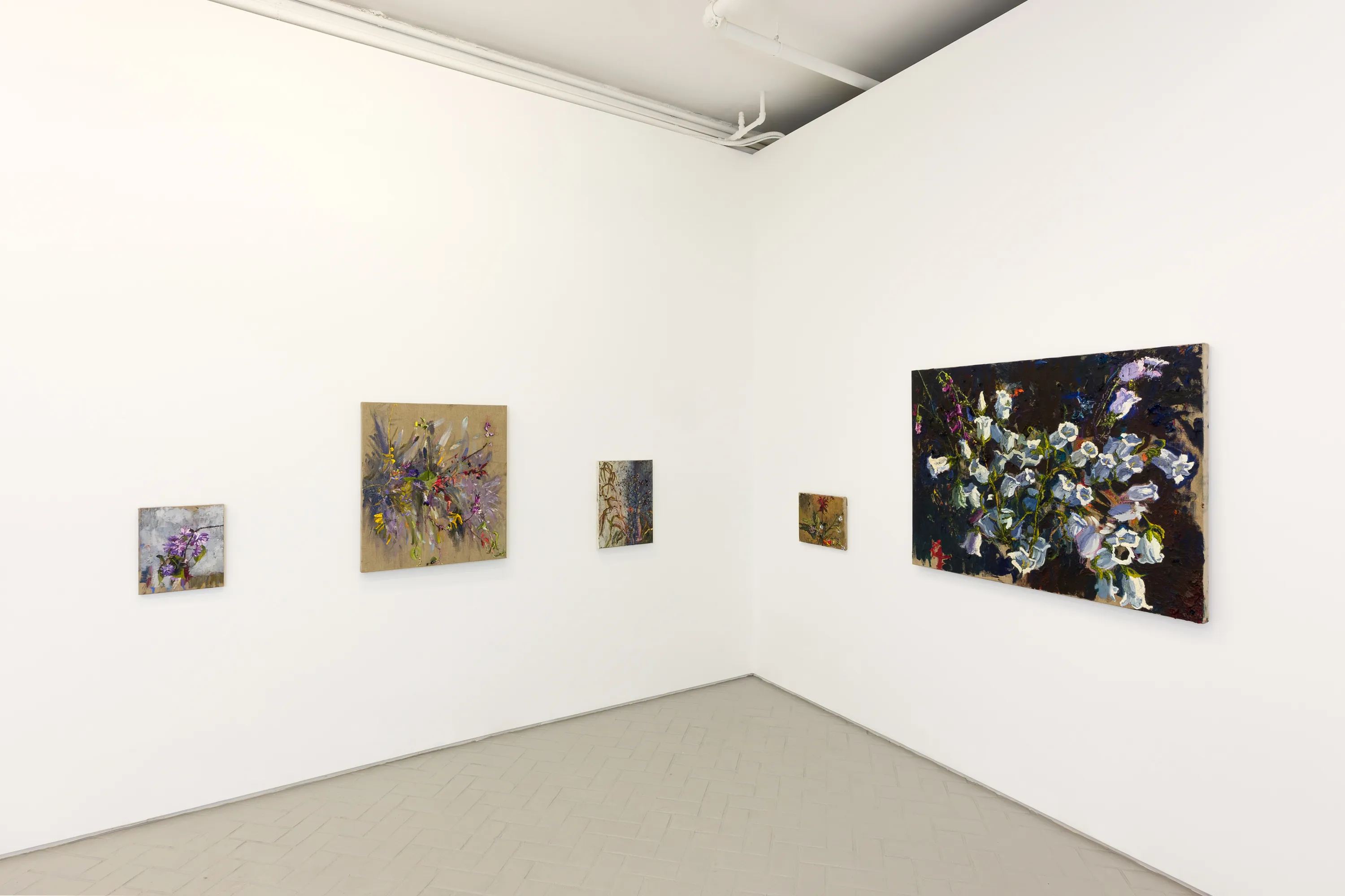 Avital Burg, A Passing Shadow and a Vanishing Cloud at Nazarian / Curcio, photo 5