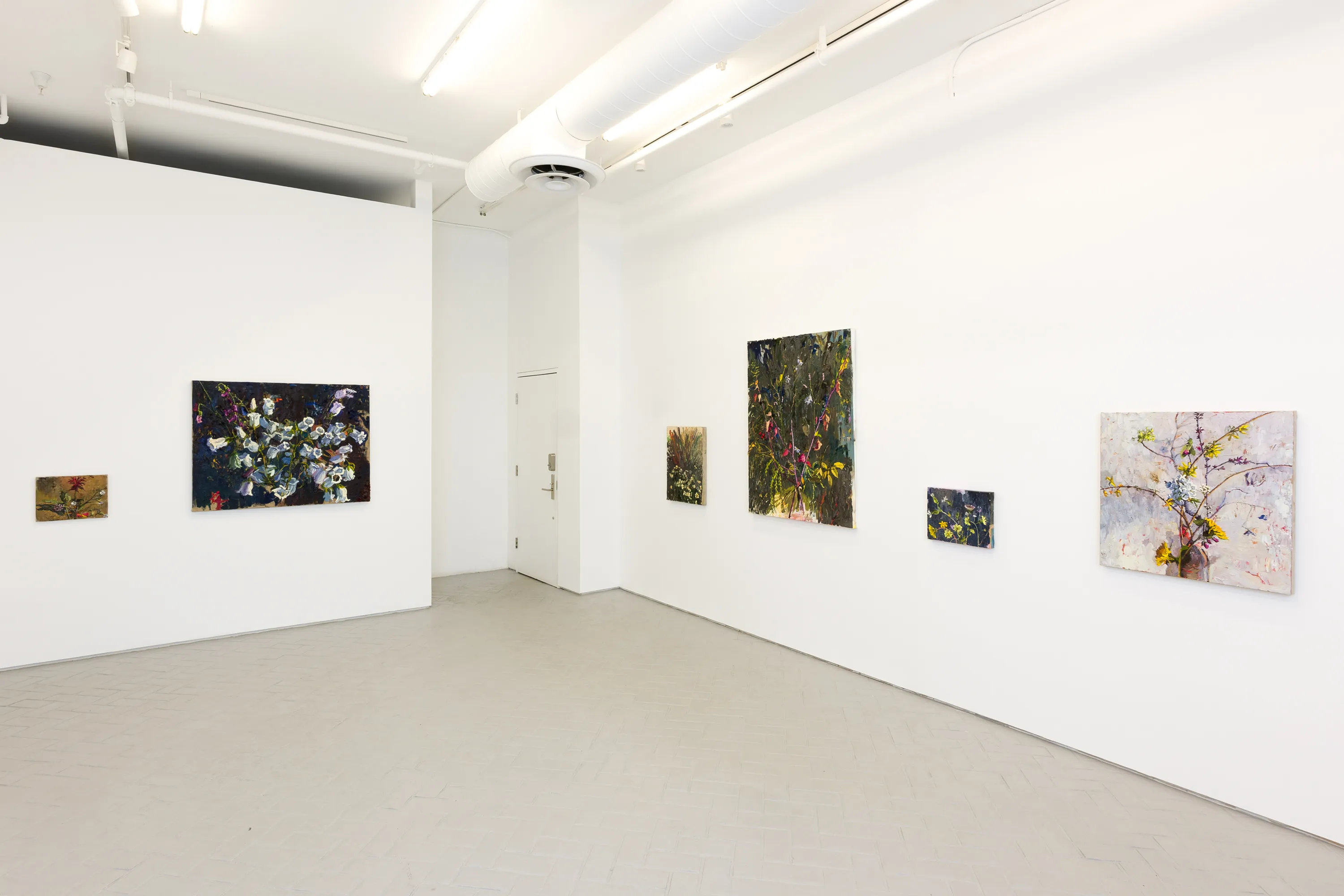 Avital Burg, A Passing Shadow and a Vanishing Cloud at Nazarian / Curcio, photo 6