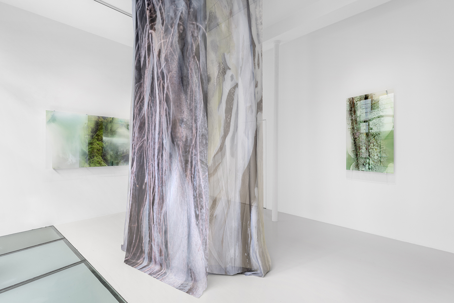 Janet Laurence, Once Were Forests at Cassandra Bird, photo 2