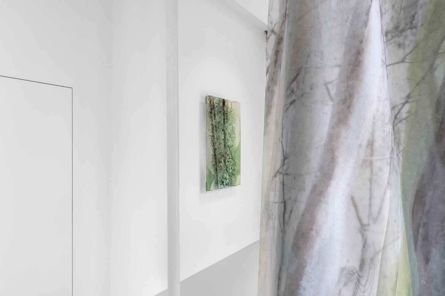 Janet Laurence, Once Were Forests at Cassandra Bird, photo 3