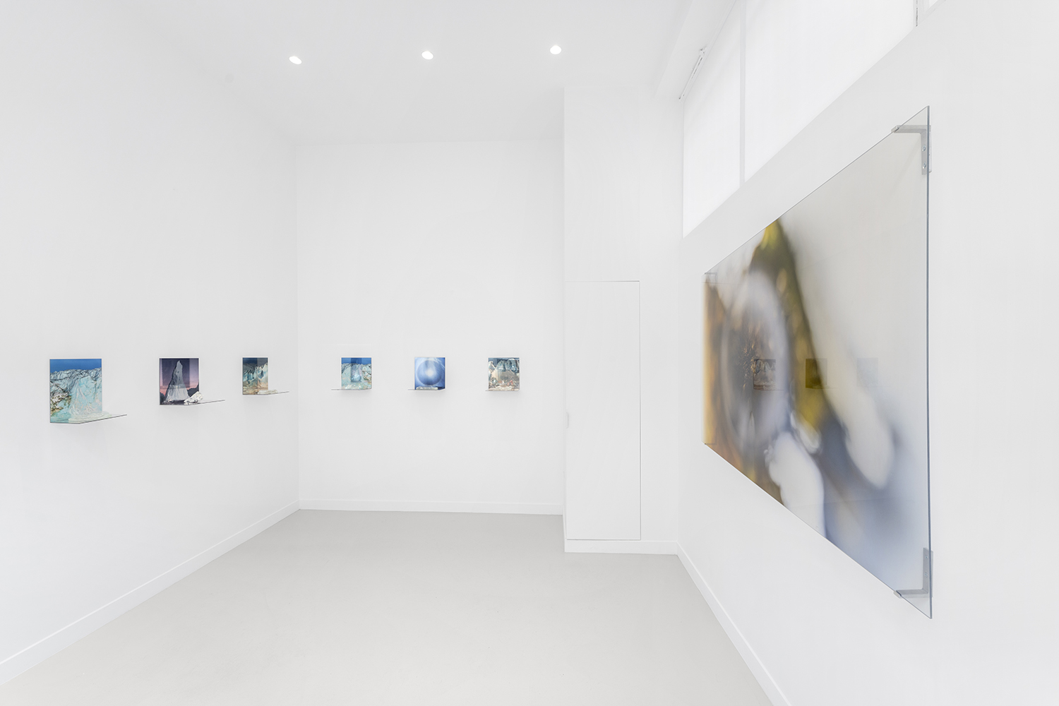 Janet Laurence, Once Were Forests at Cassandra Bird, photo 5