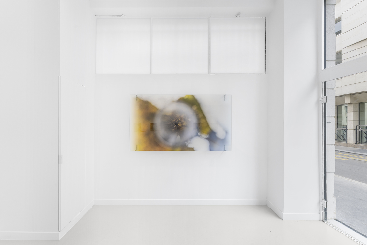 Janet Laurence, Once Were Forests at Cassandra Bird, photo 7