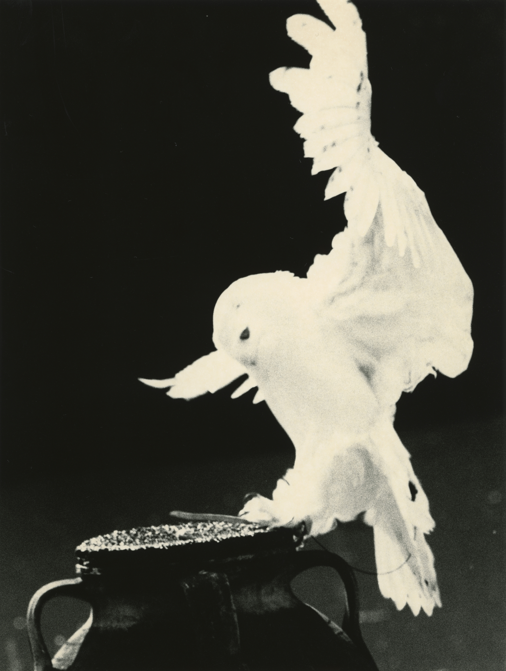 Yamamoto Masao, Ten Owls at Yancey Richardson, photo 3