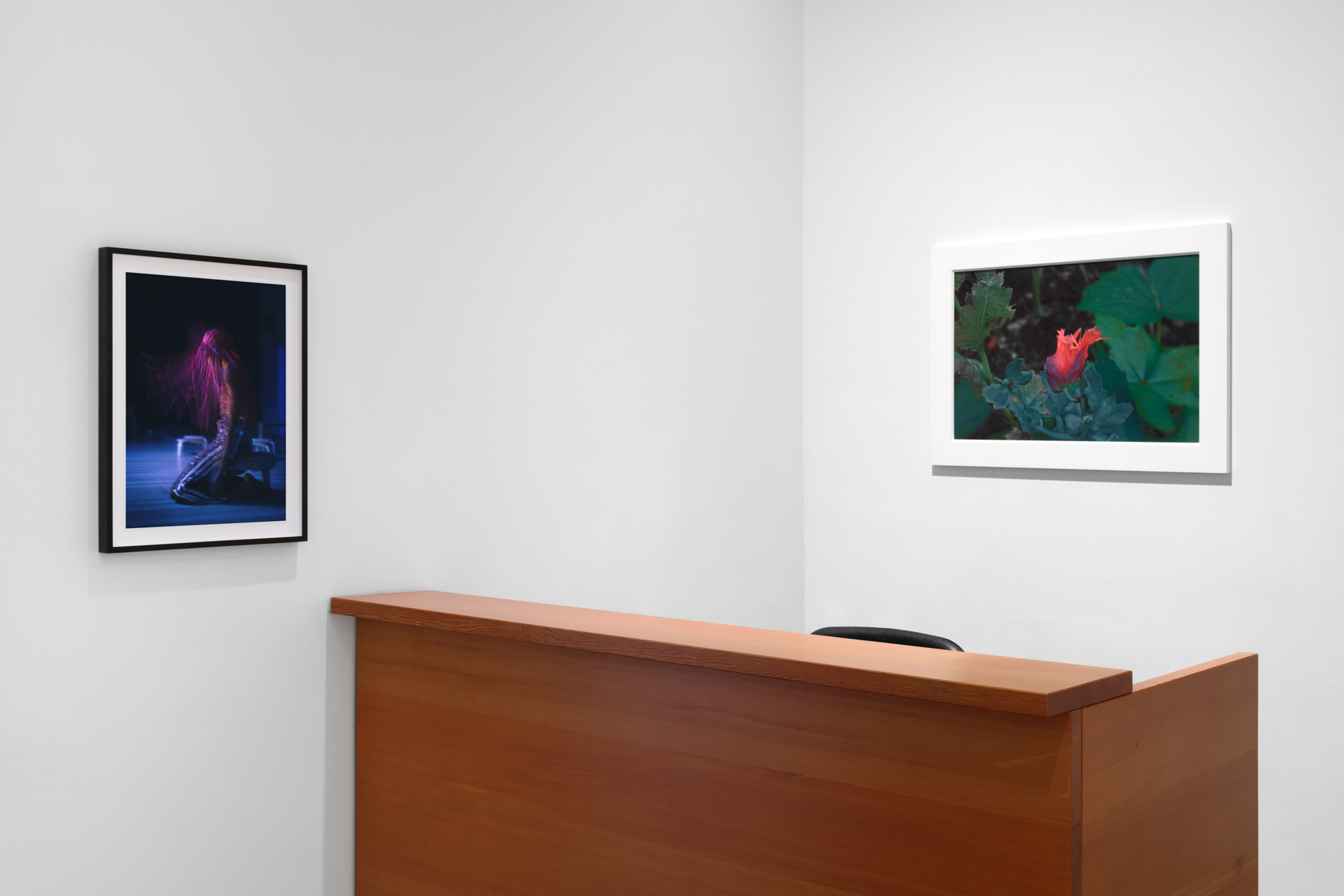 Benefit Exhibition for the Foundation for Contemporary Arts, Benefit Exhibition for the Foundation for Contemporary Arts at Paula Cooper, photo 7