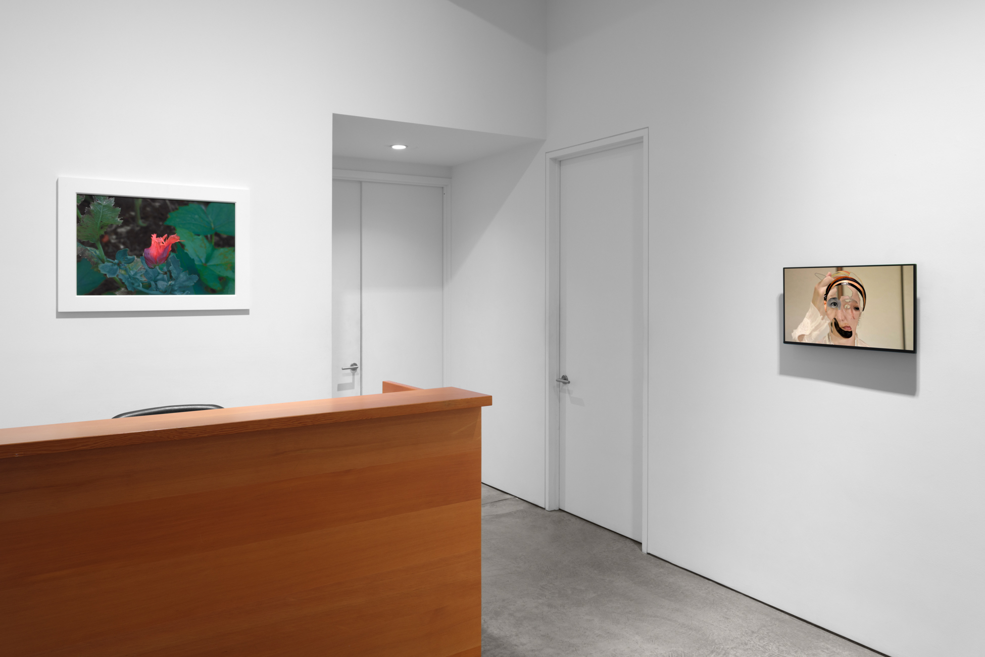 Benefit Exhibition for the Foundation for Contemporary Arts, Benefit Exhibition for the Foundation for Contemporary Arts at Paula Cooper, photo 8