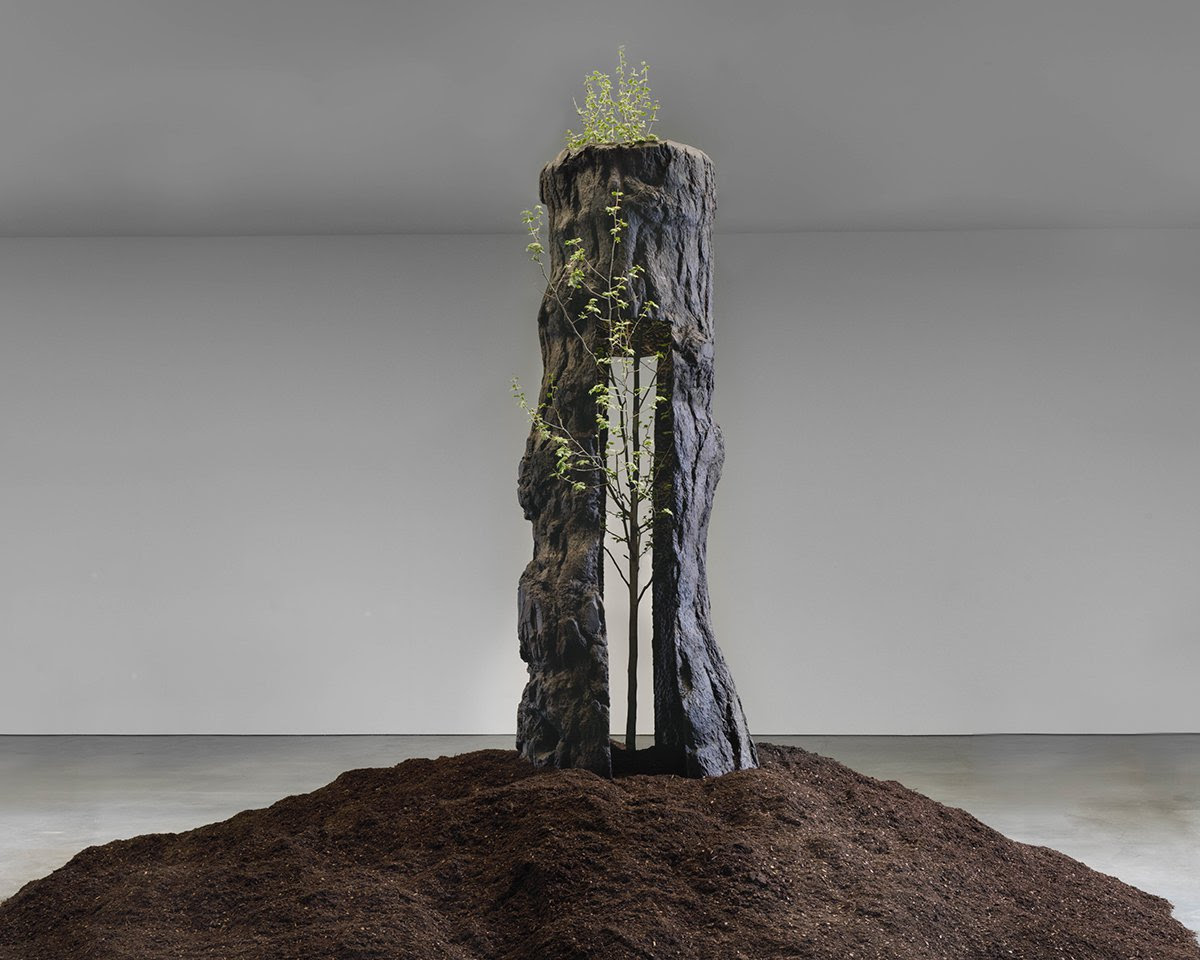 Giuseppe Penone, The Reflection of Bronze, at Gagosian