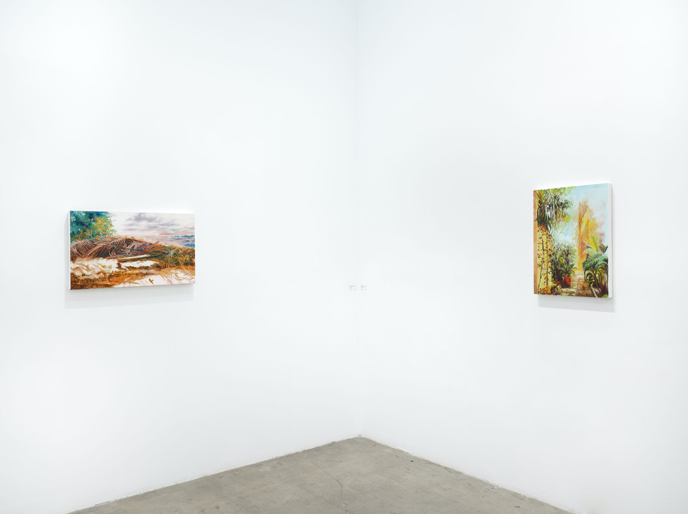 Sylvia Trotter Ewens, Echoes of Elsewhere at Plato, photo 11