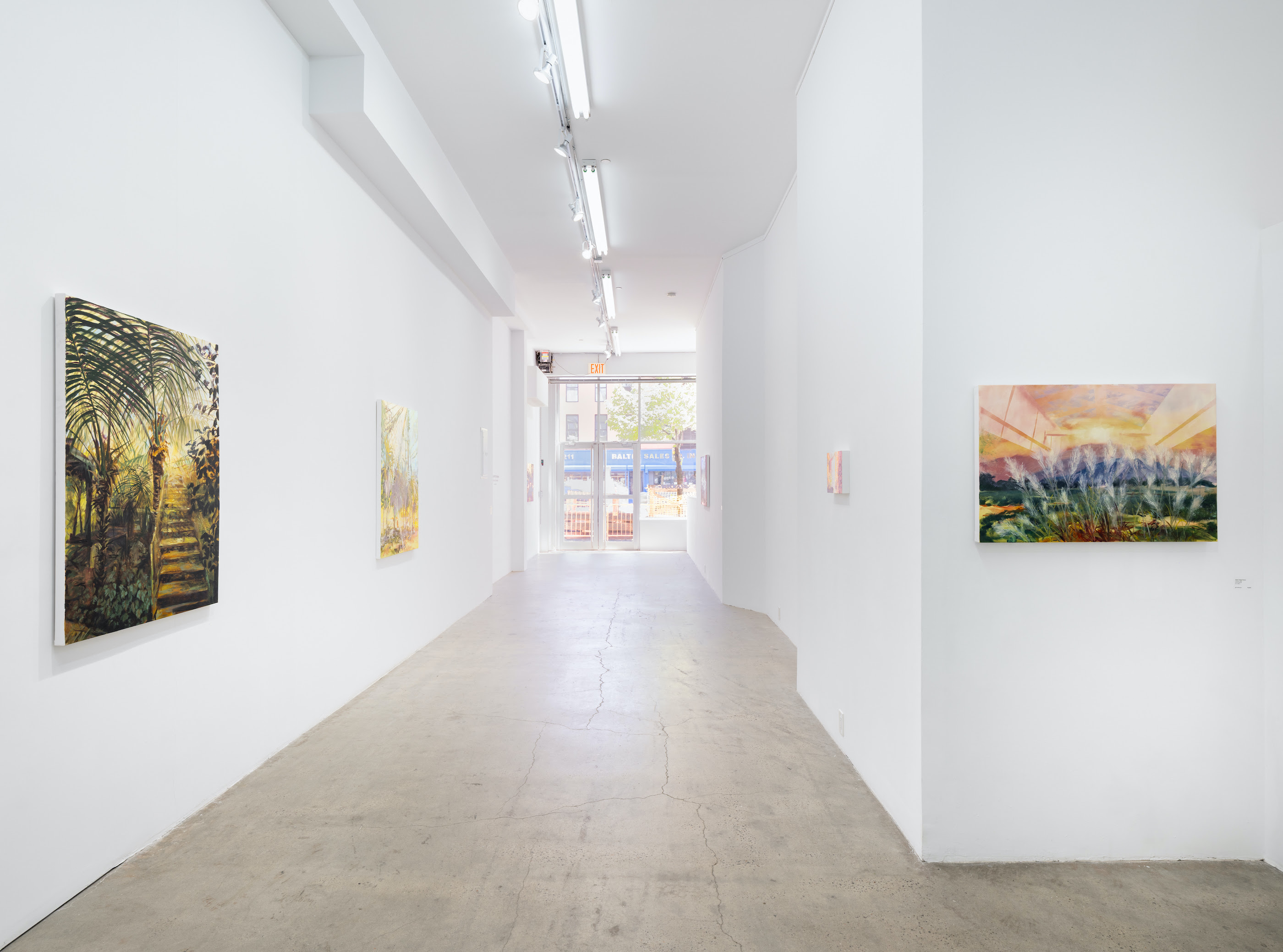 Sylvia Trotter Ewens, Echoes of Elsewhere at Plato, photo 16