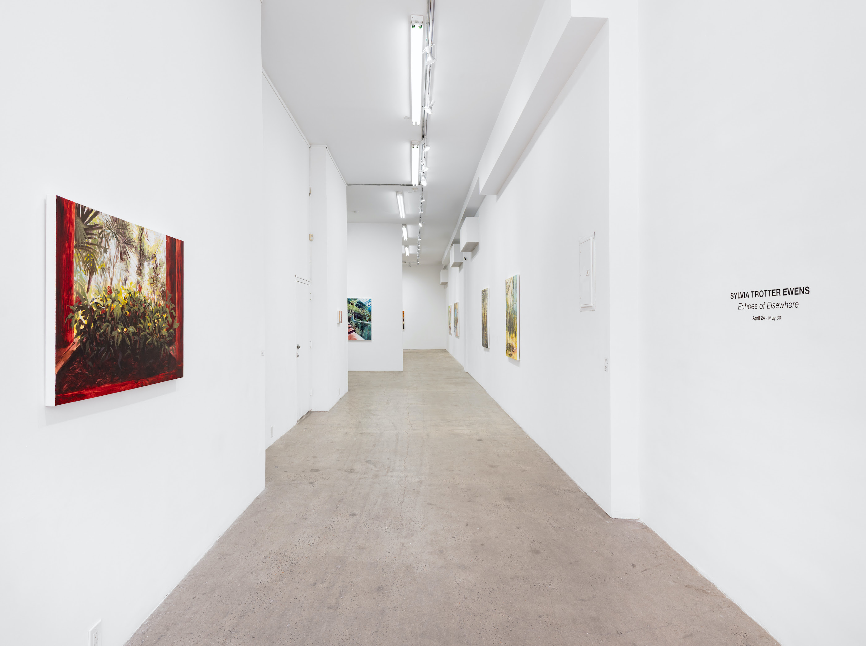 Sylvia Trotter Ewens, Echoes of Elsewhere at Plato, photo 19