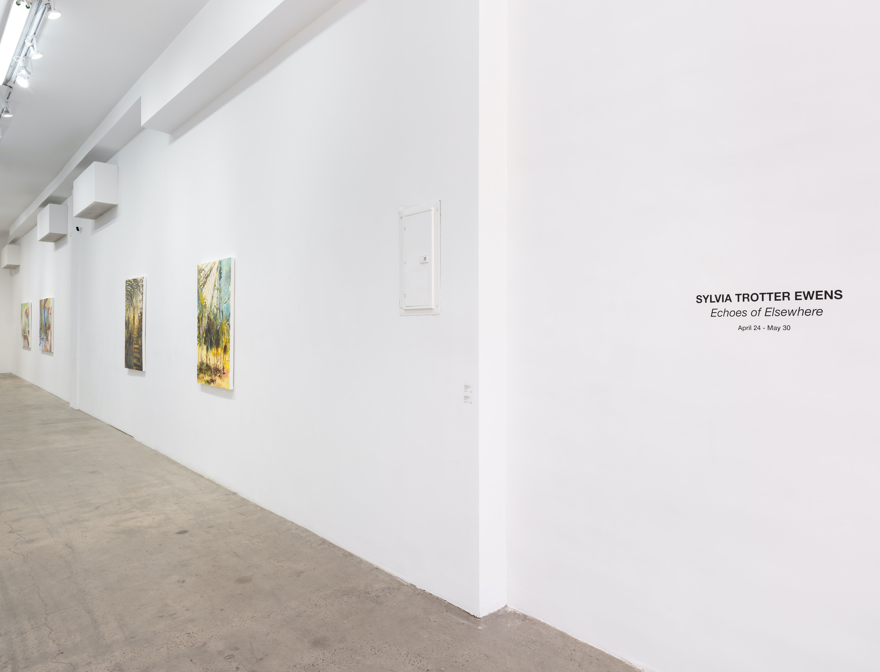 Sylvia Trotter Ewens, Echoes of Elsewhere at Plato, photo 21