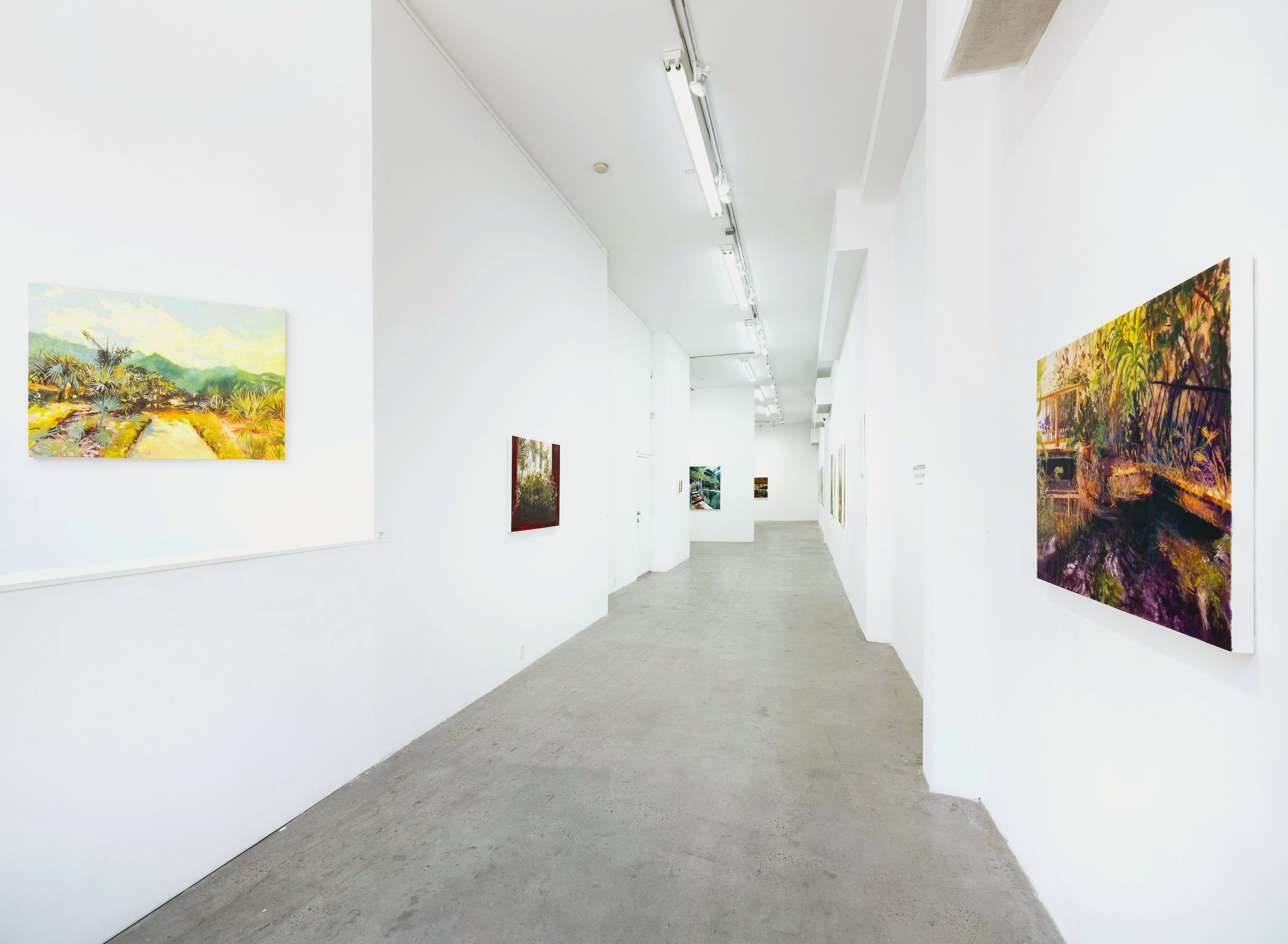 Sylvia Trotter Ewens, Echoes of Elsewhere at Plato, photo 22