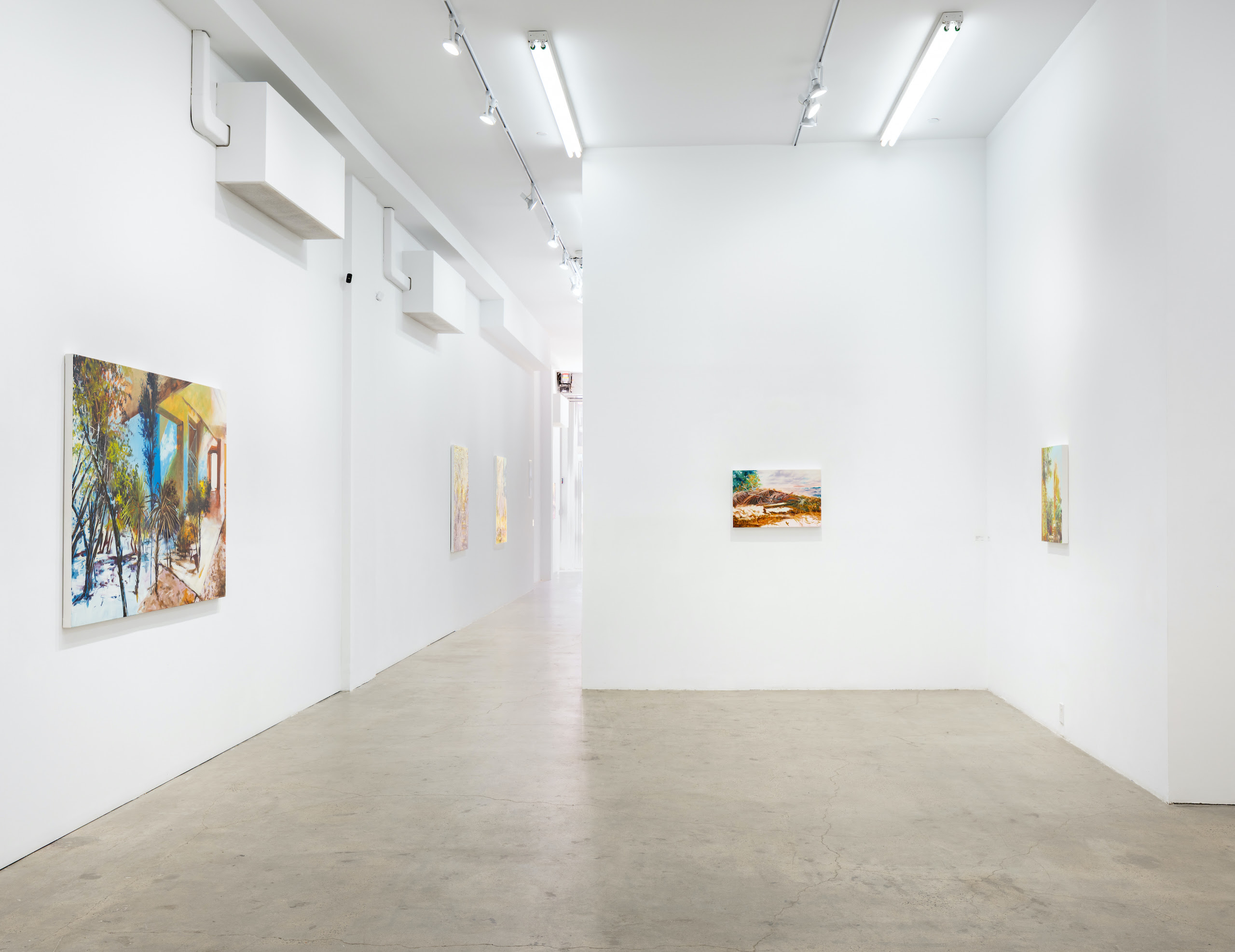 Sylvia Trotter Ewens, Echoes of Elsewhere at Plato, photo 10