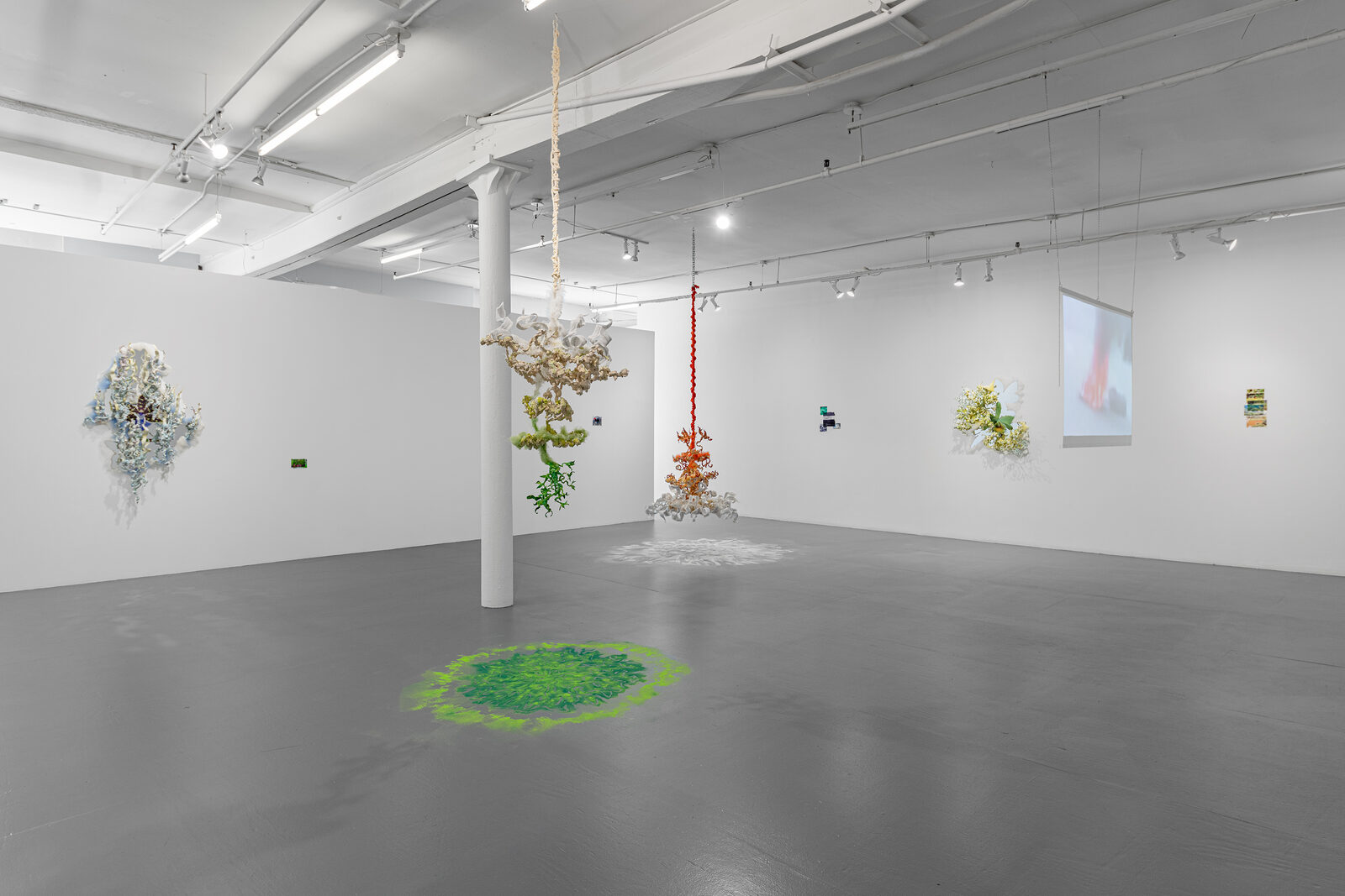 Diana Sofía Lozano, Under, Cover at Proxyco, photo 2