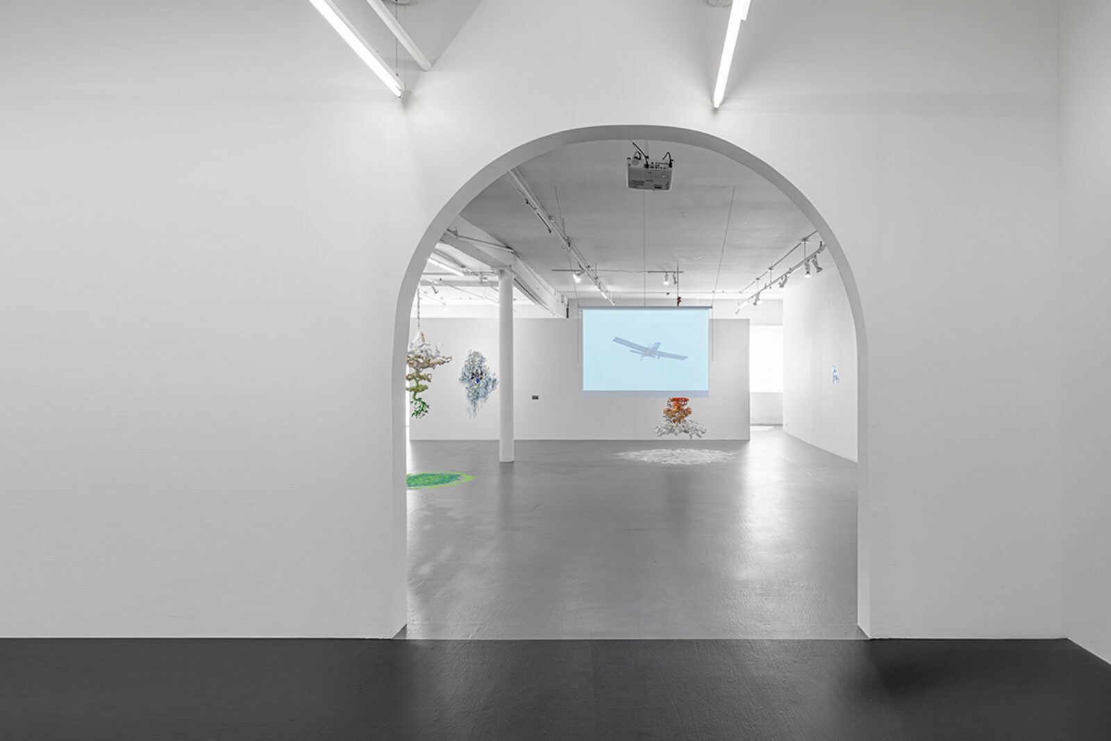 Diana Sofía Lozano, Under, Cover at Proxyco, photo 11