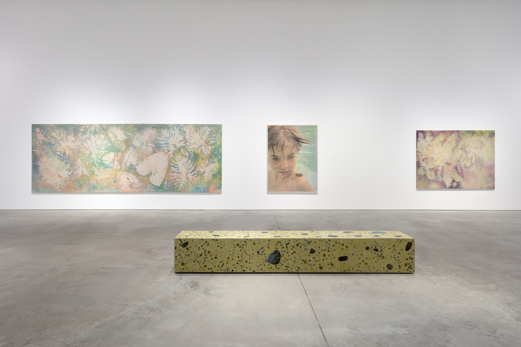 Sam Falls, Amongst the Living at 303 Gallery, photo 2