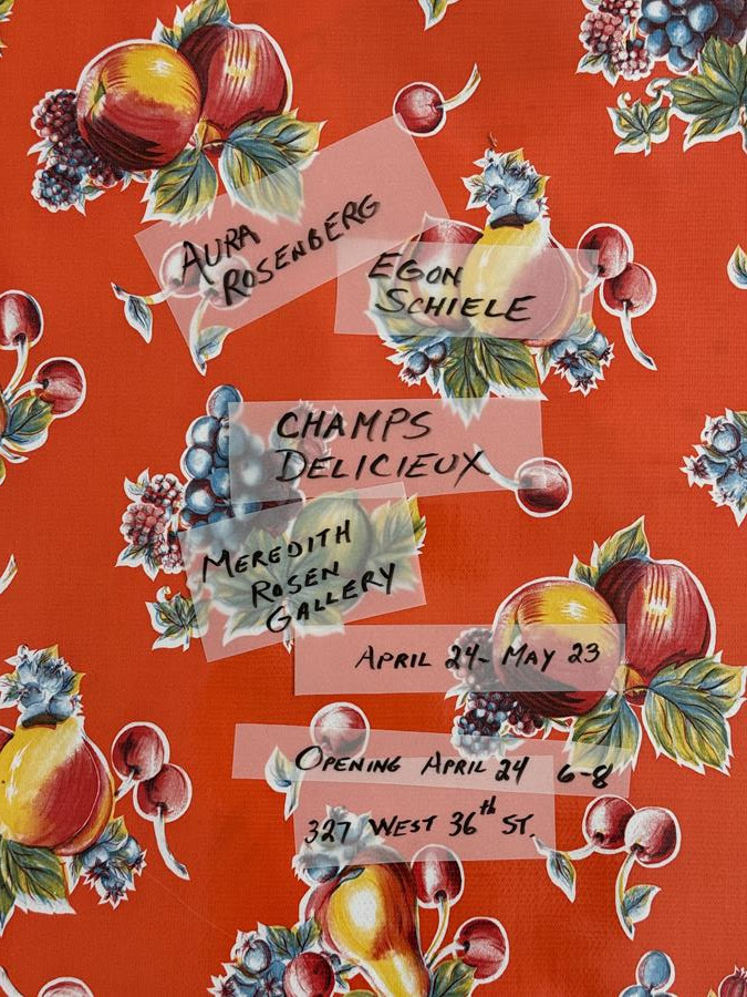 Aura Rosenberg & Egon Schiele, Champs Délicieux, at Meredith Rosen