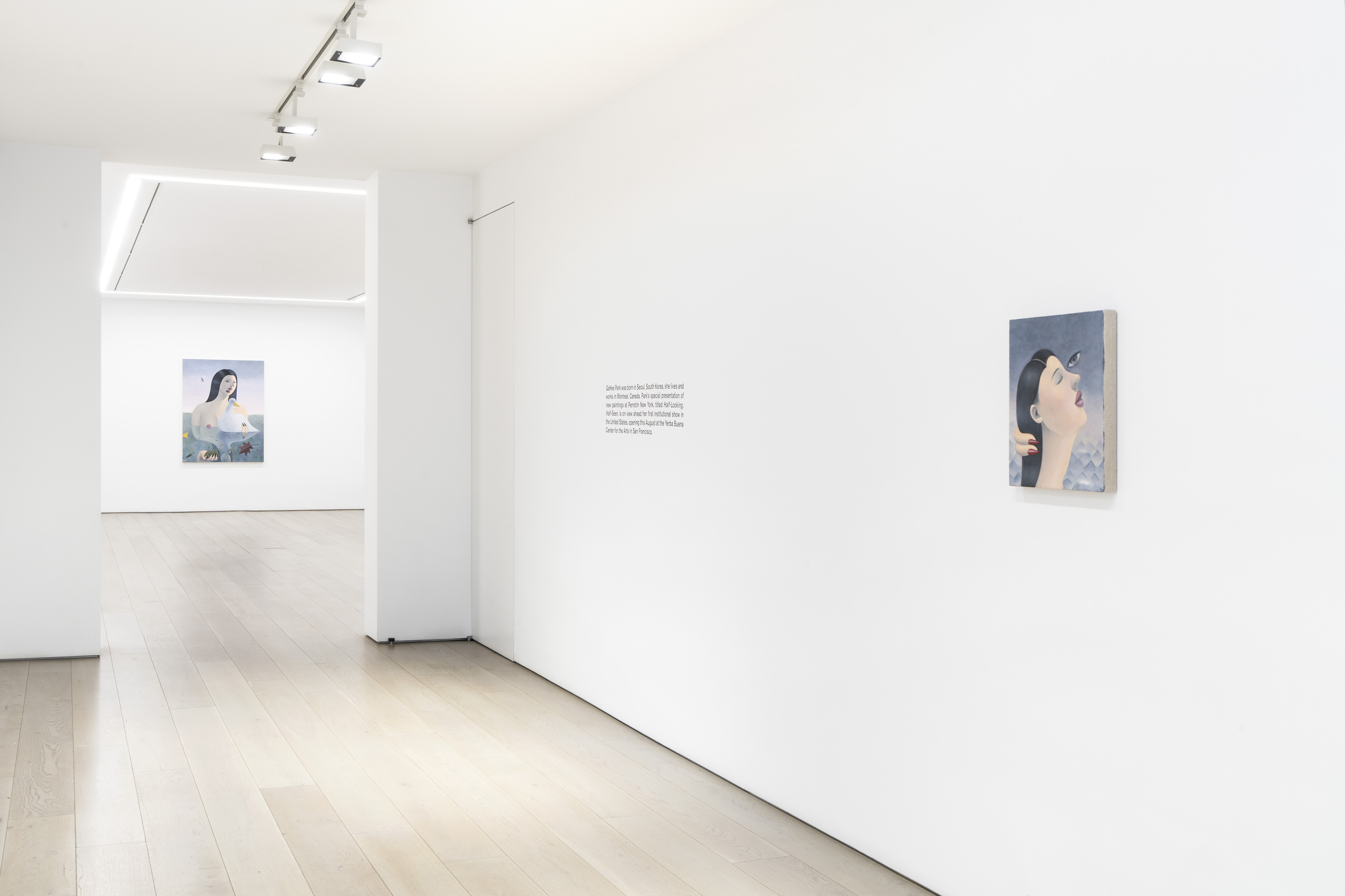 GaHee Park, Half-Looking, Half-Seen at Perrotin, photo 6