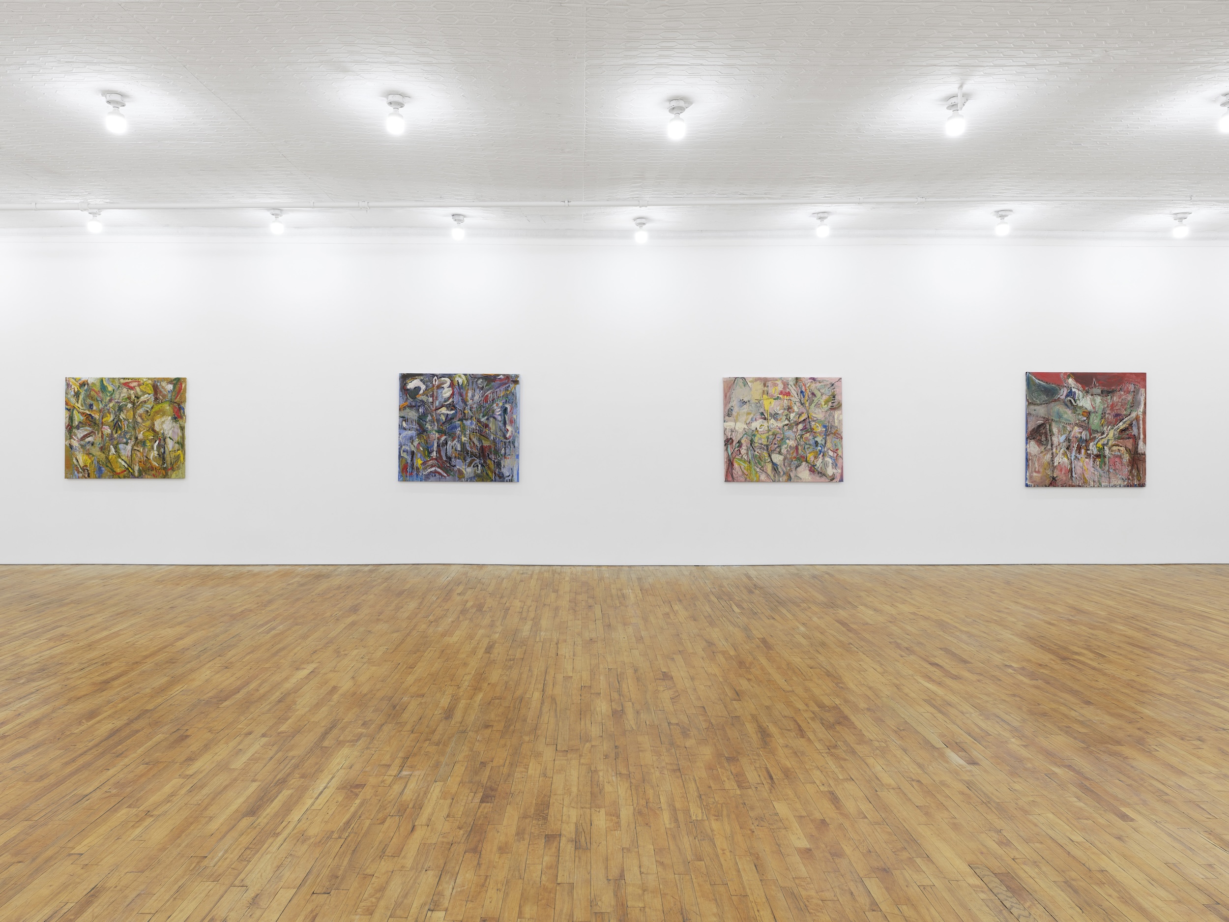 Lu Ferreira, Estranhas Luzes no Bosque at Tara Downs, photo 2
