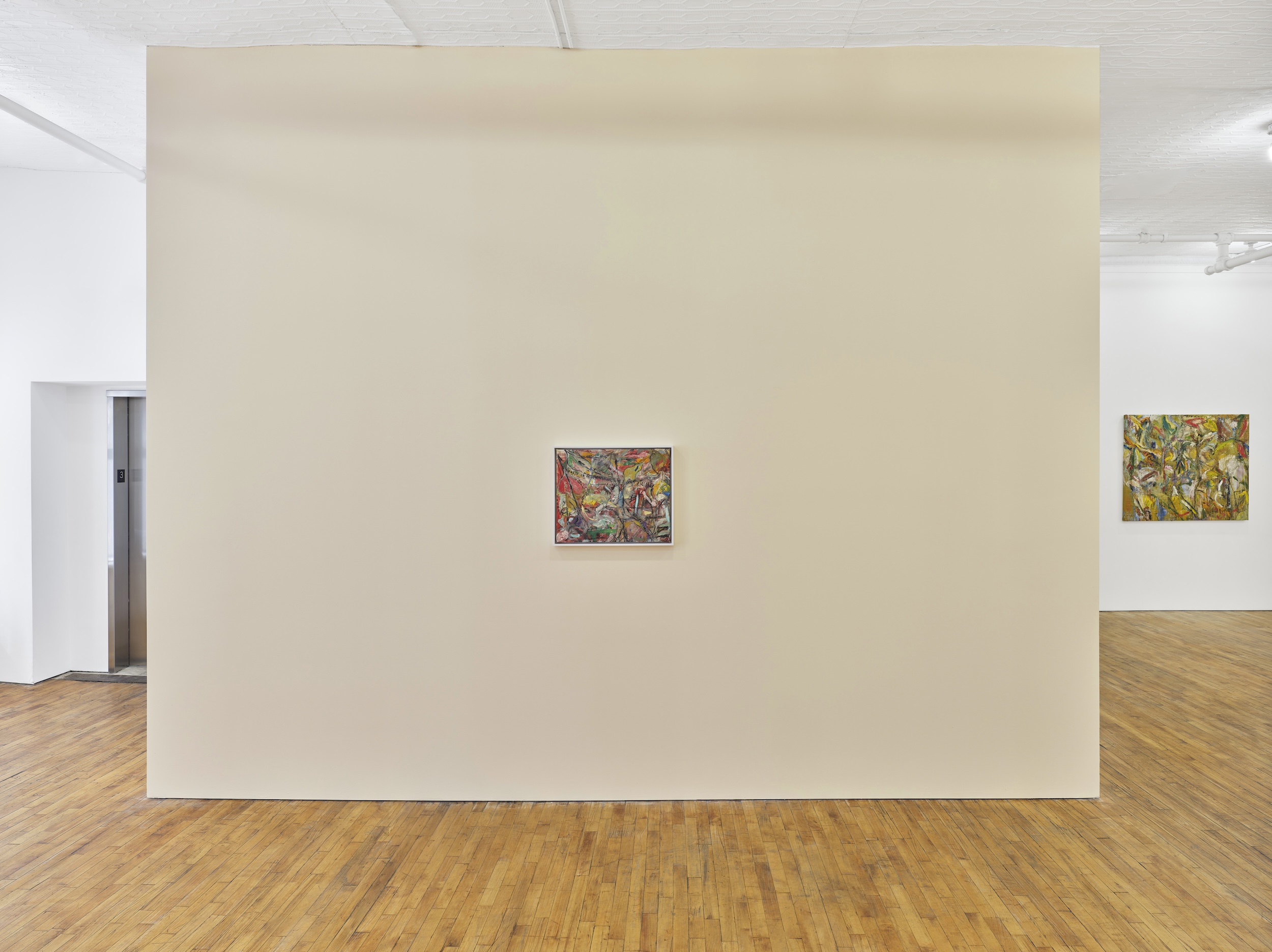 Lu Ferreira, Estranhas Luzes no Bosque at Tara Downs, photo 6