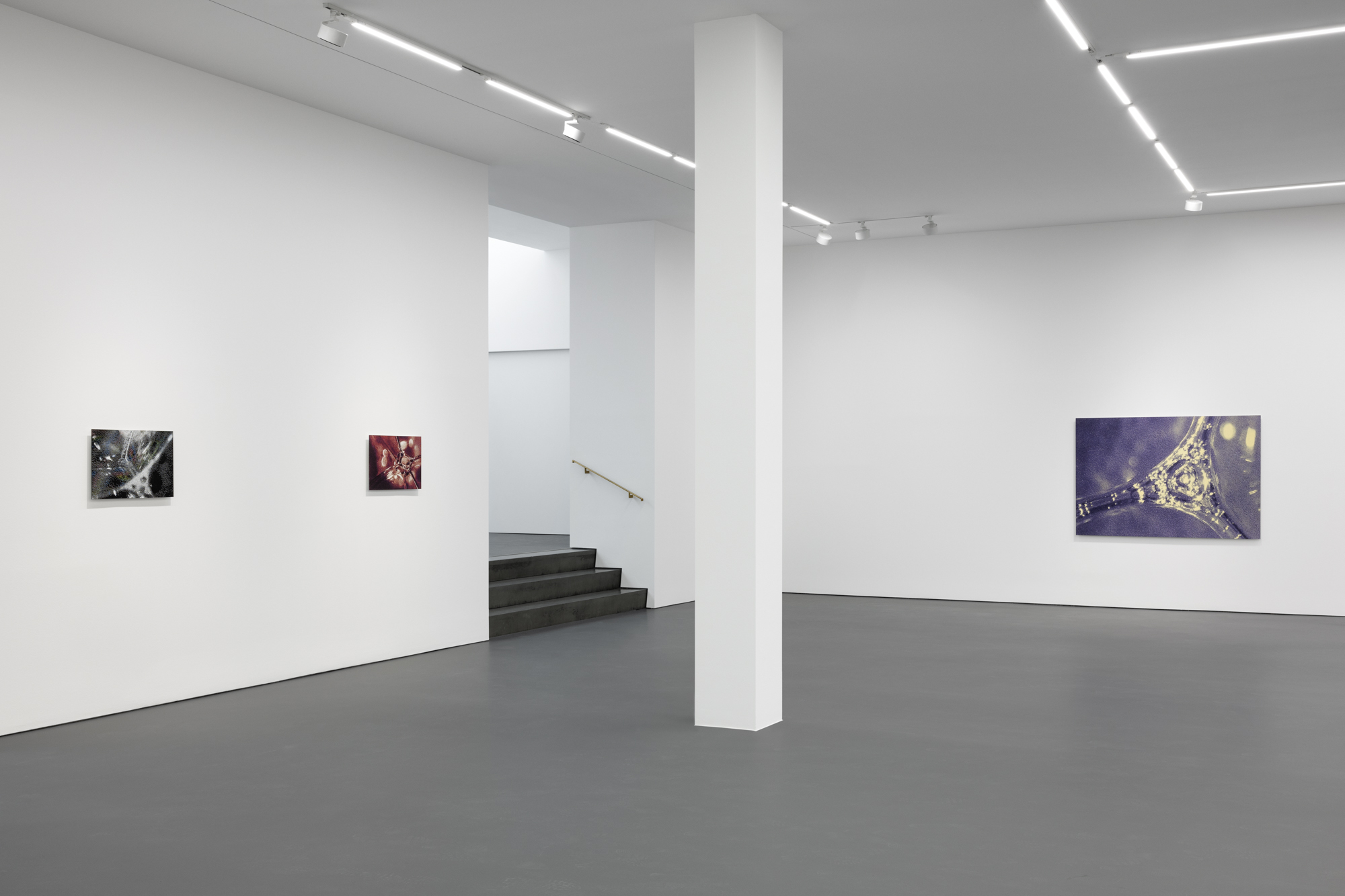 Tauba Auerbach, Easy Assembly at Esther Schipper, photo 2