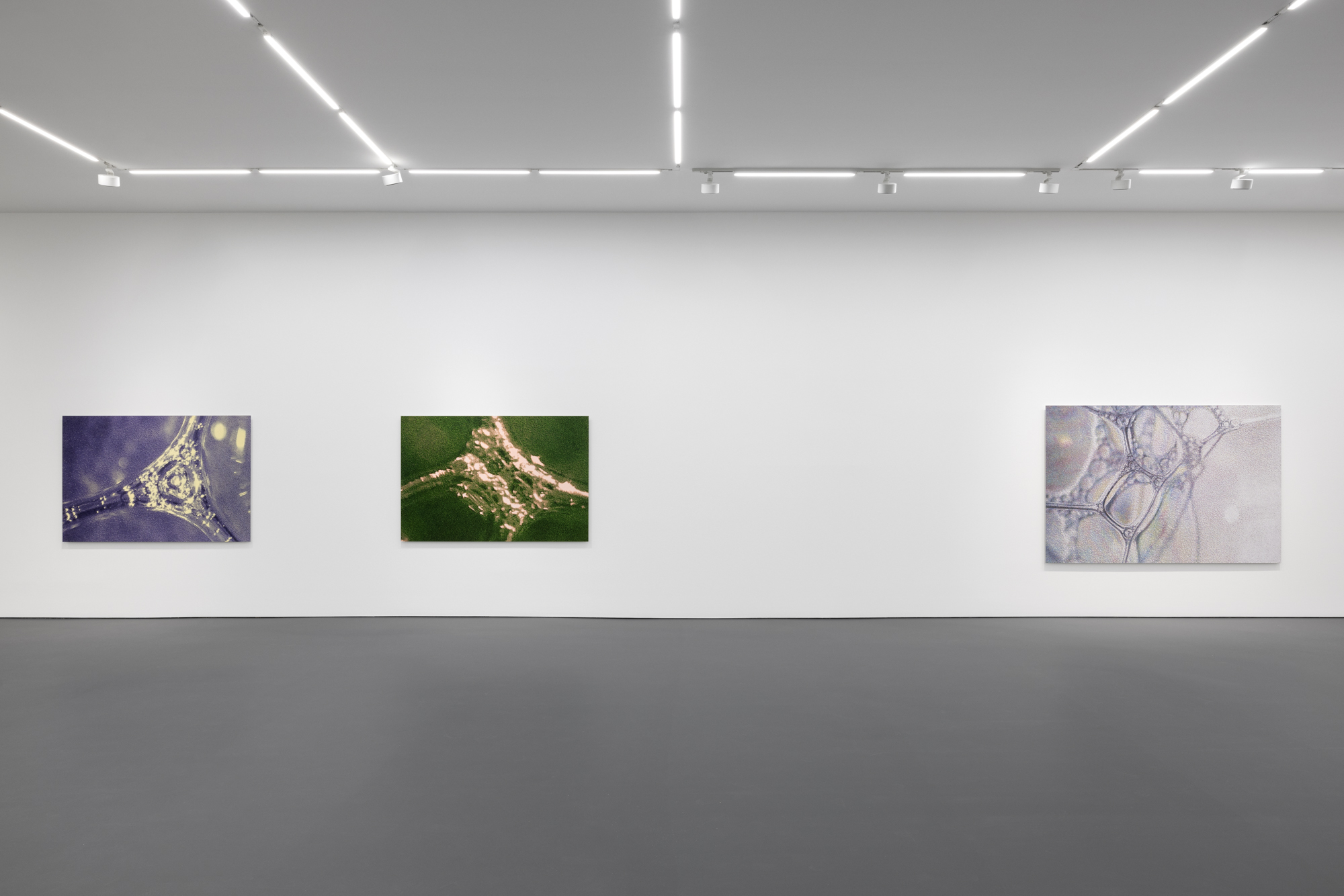 Tauba Auerbach, Easy Assembly at Esther Schipper, photo 3