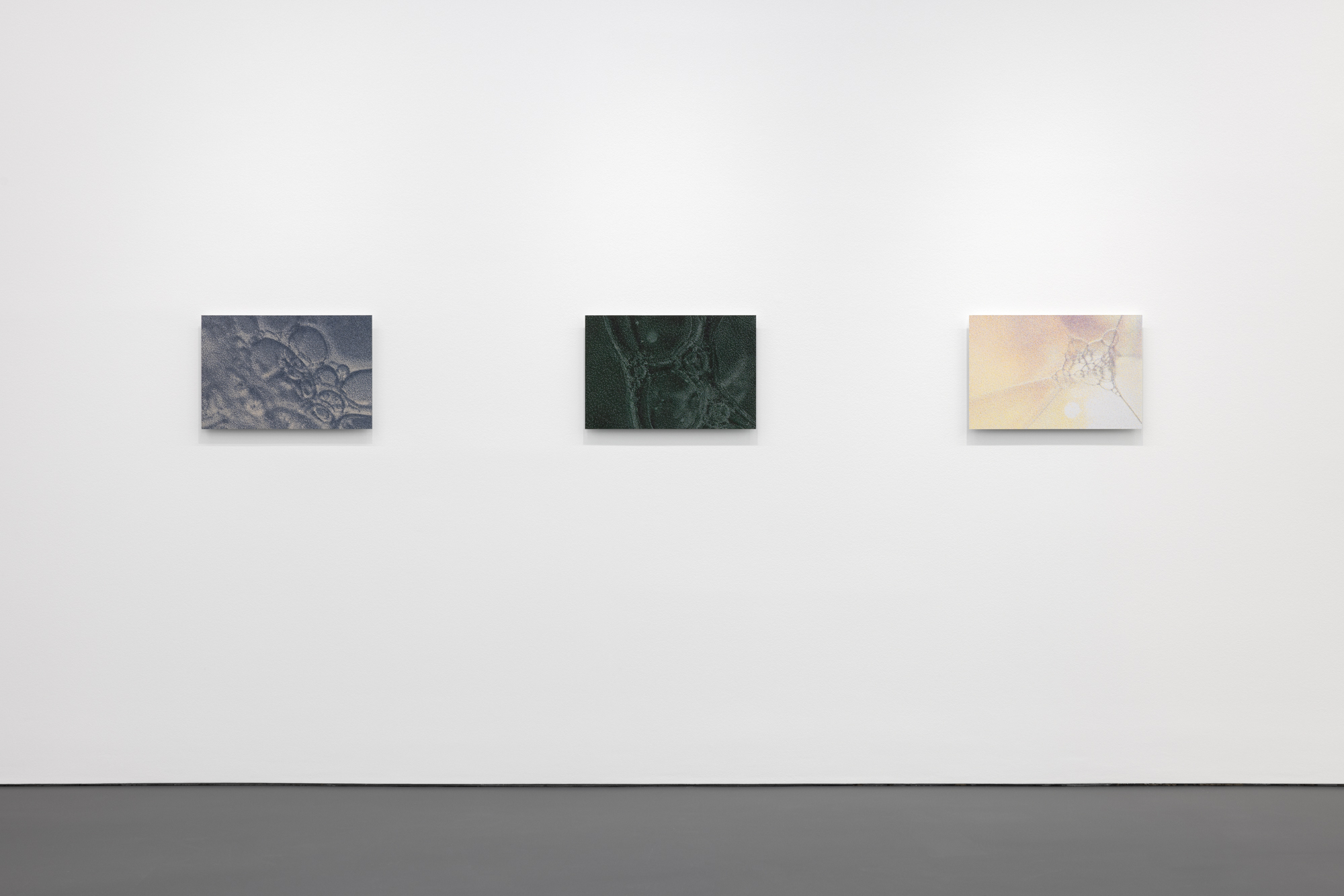 Tauba Auerbach, Easy Assembly at Esther Schipper, photo 8