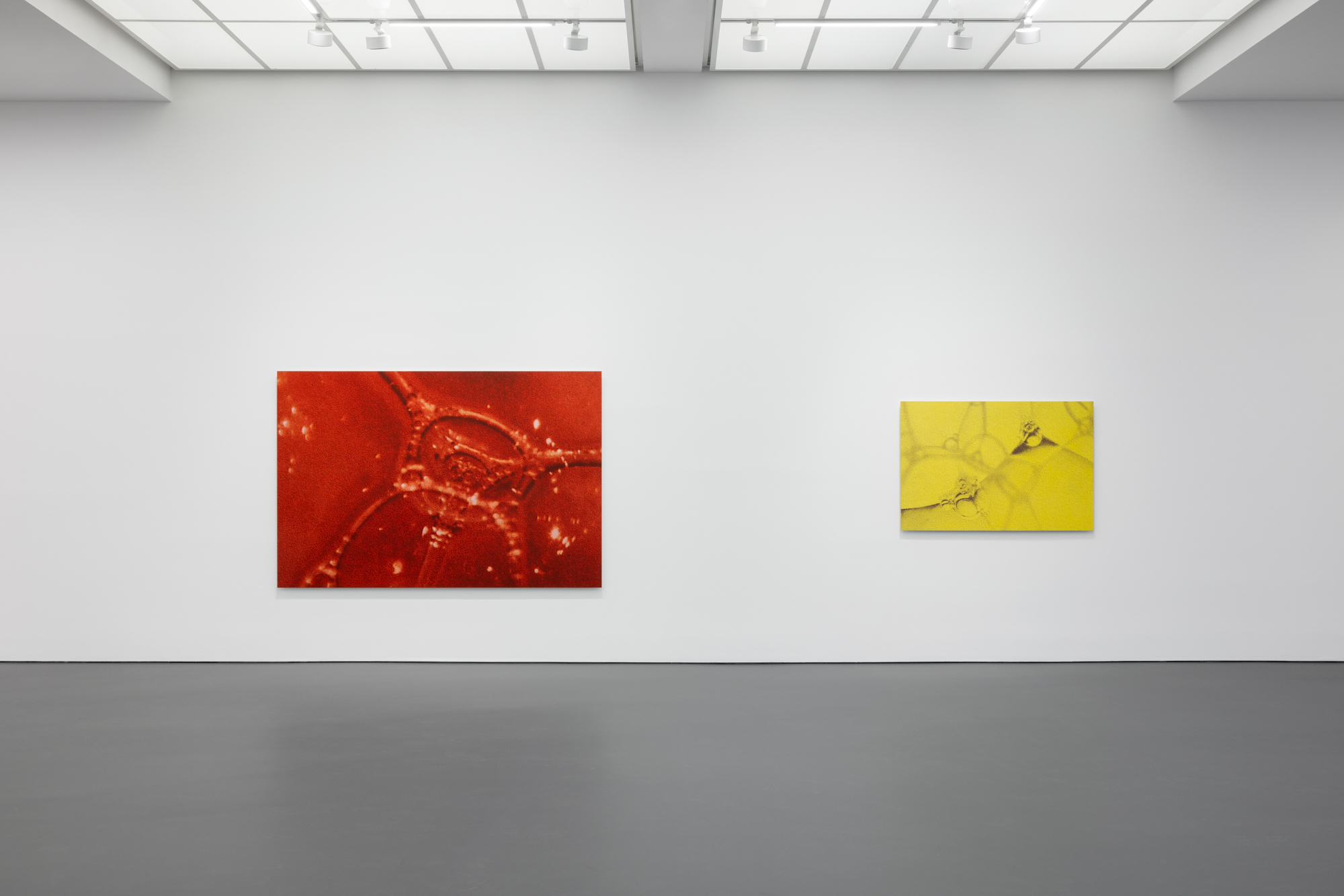 Tauba Auerbach, Easy Assembly at Esther Schipper, photo 9