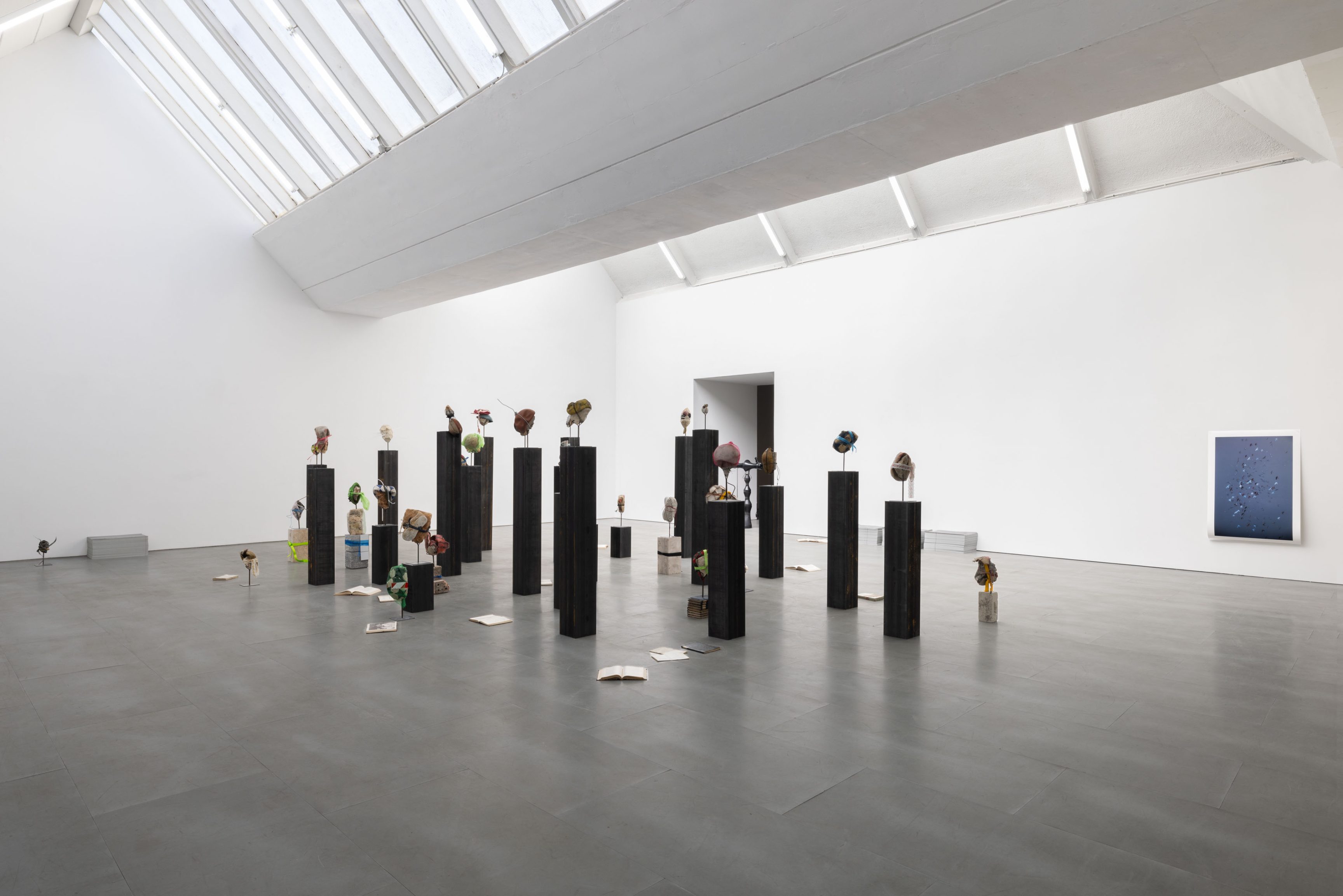 Nida Sinnokrot, Above Ground Below at Carlier Gebauer, photo 6