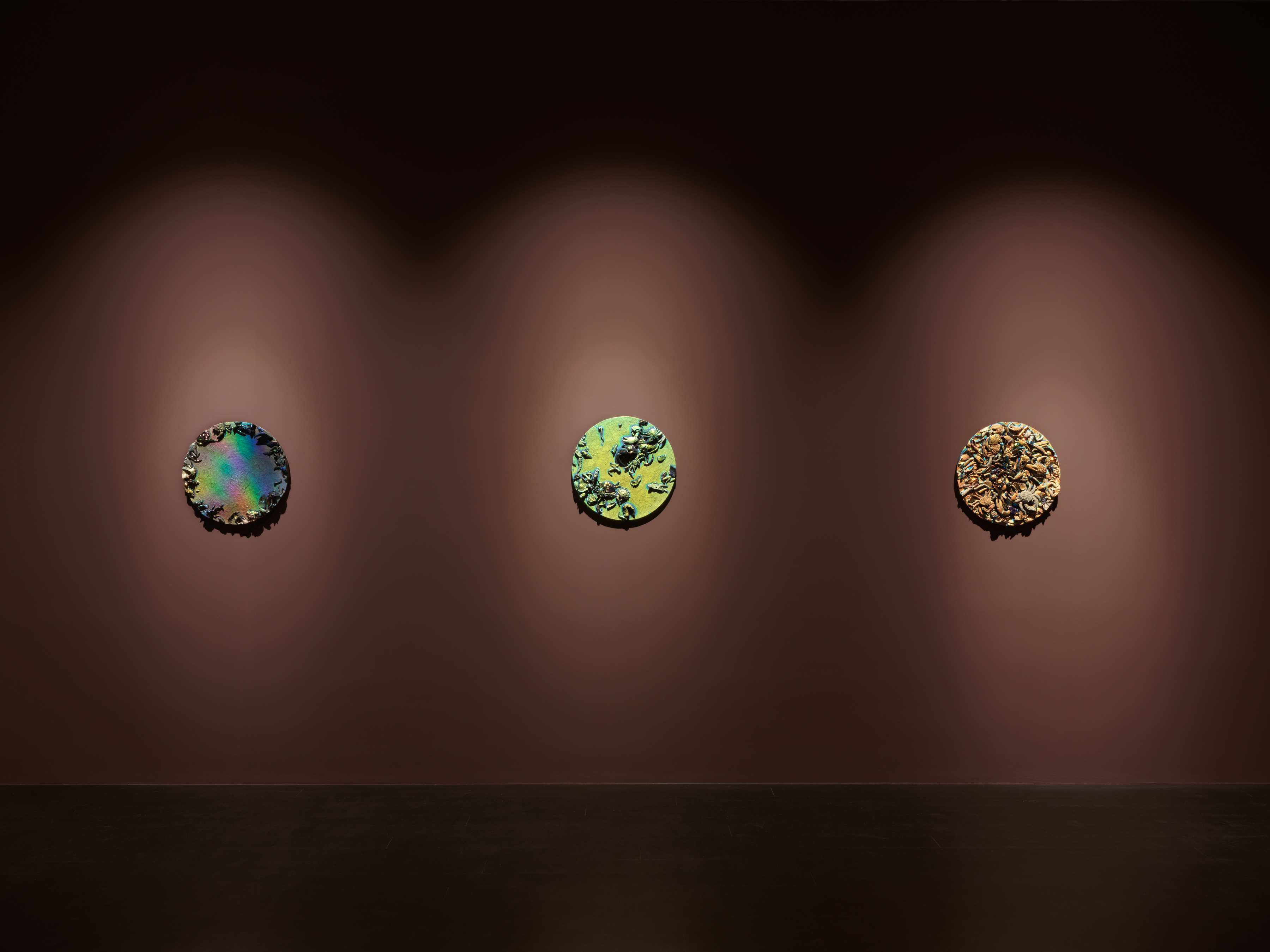 Pae White, image 8 of 8