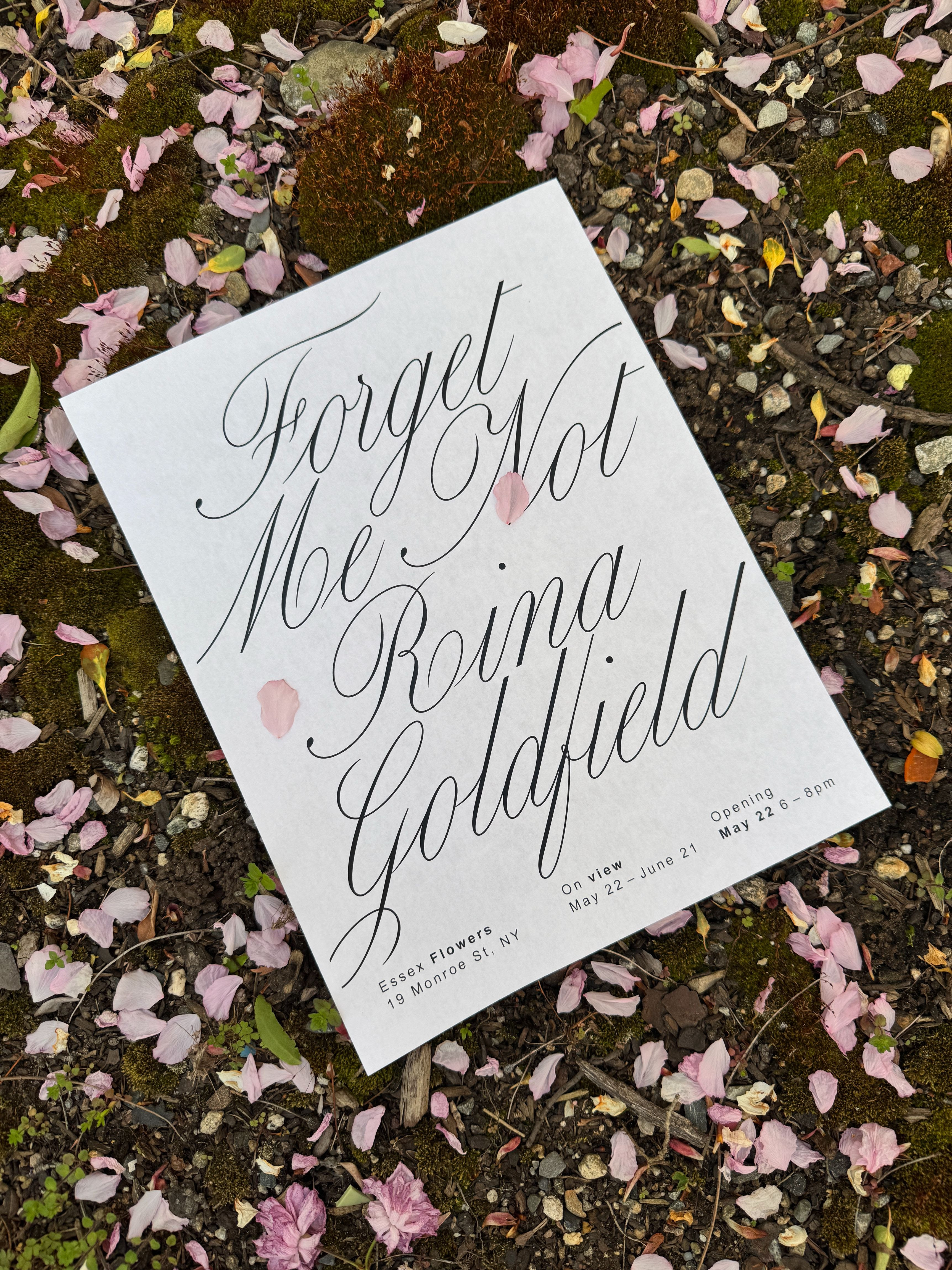 Rina Lam Goldfield, Forget Me Not, at Essex Flowers