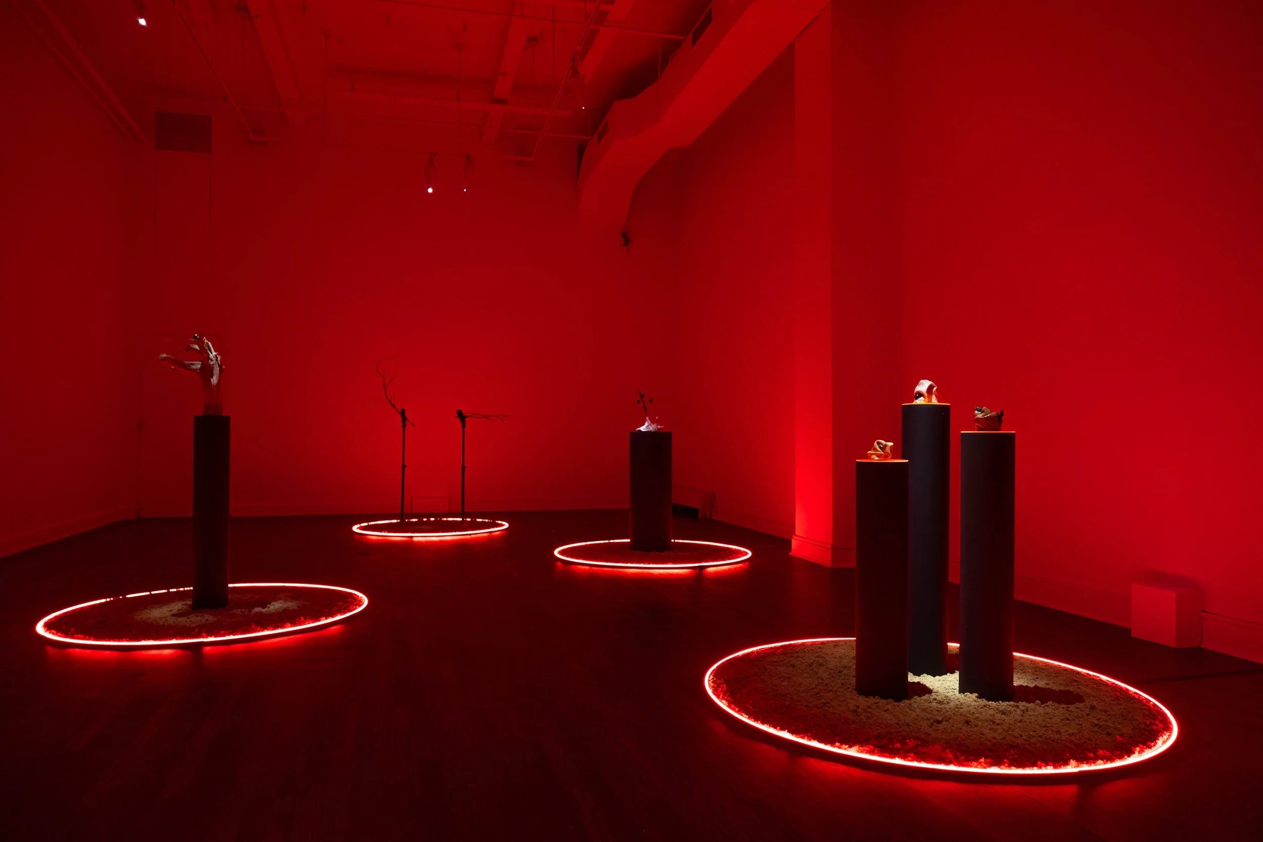 Mari Nagem, The Tropics, The Moon, and Mars at Cue Art Foundation