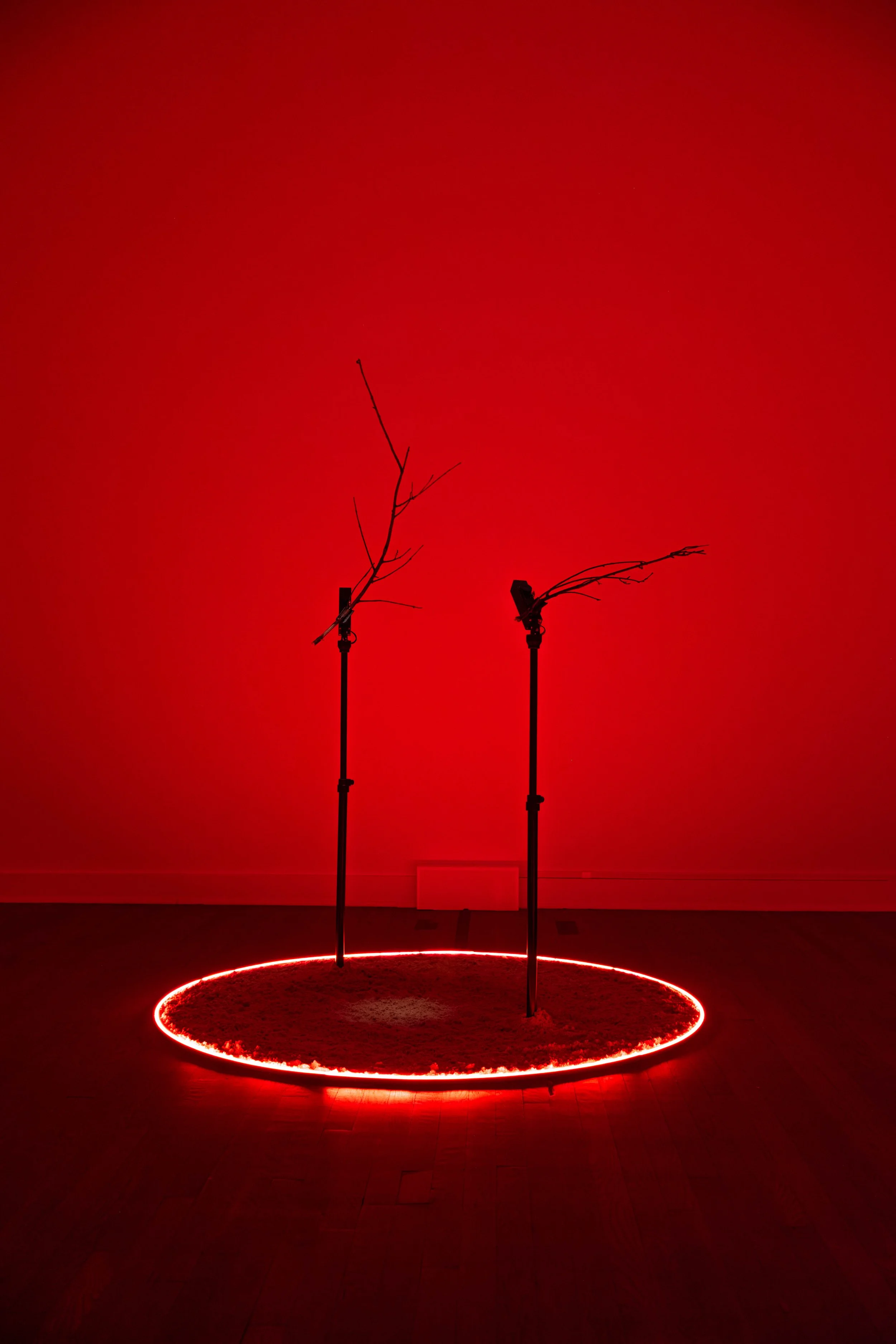 Mari Nagem, The Tropics, The Moon, and Mars at Cue Art Foundation, photo 2