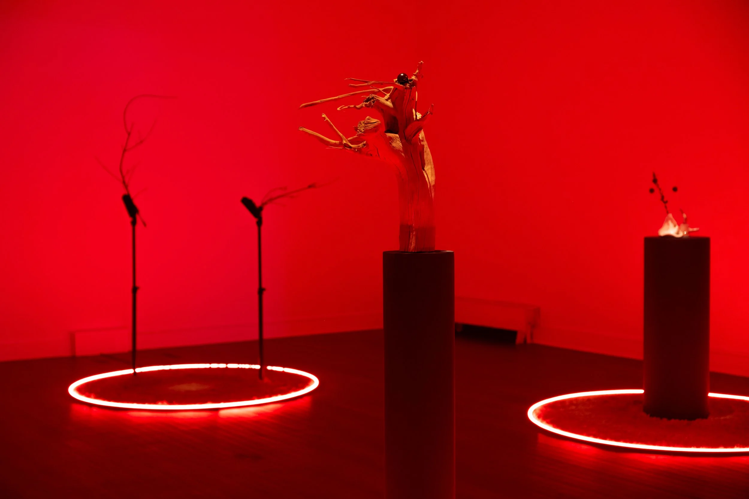 Mari Nagem, The Tropics, The Moon, and Mars at Cue Art Foundation, photo 3