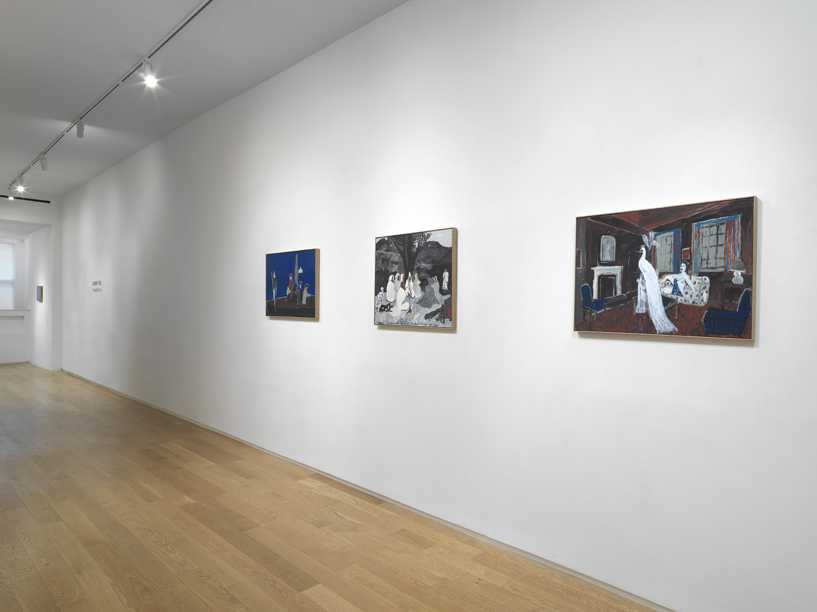 Danny Fox, Fata Morgana at Alexander Berggruen
