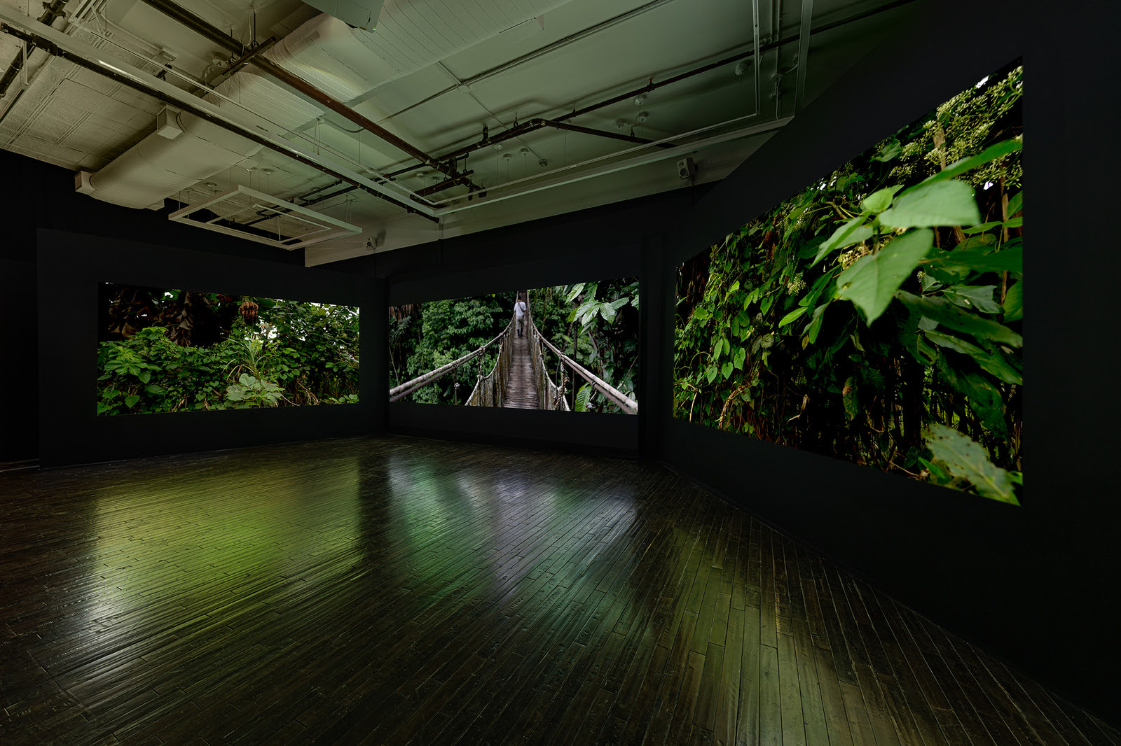 Janet Biggs, Path of Totality at Cristin Tierney