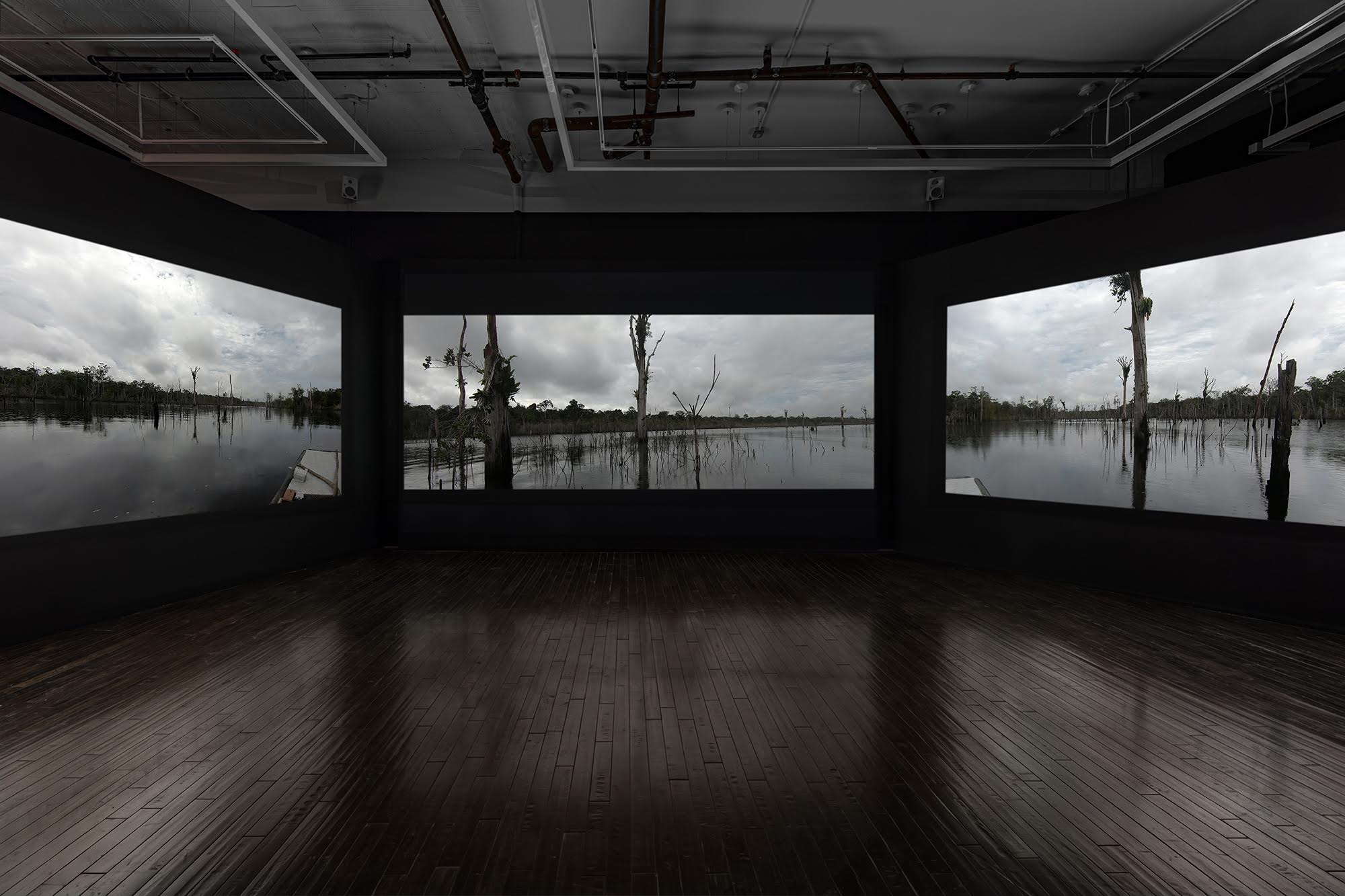 Janet Biggs, image 7 of 9