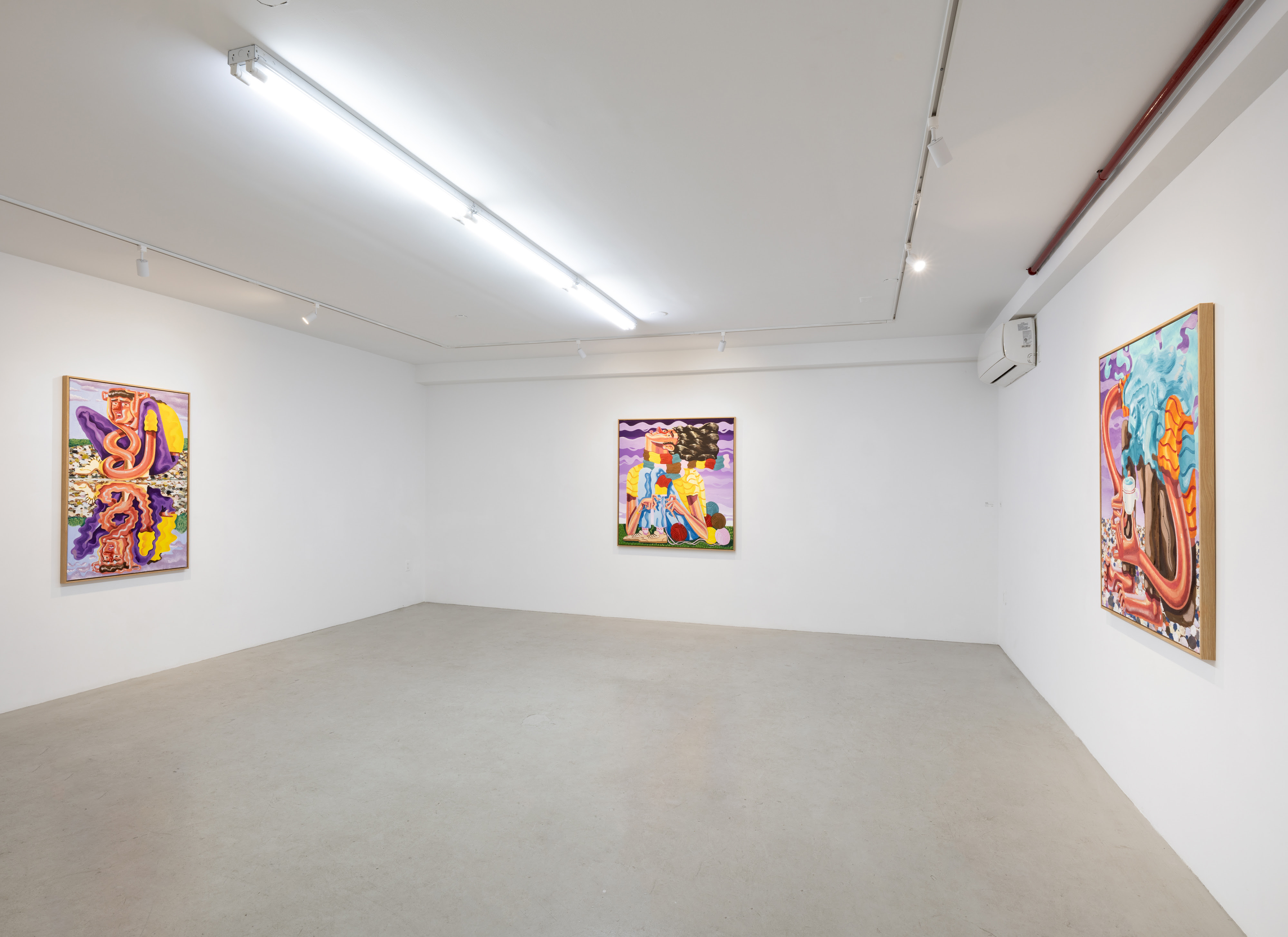 Ákos Ezer, Call of the Wild at Plato