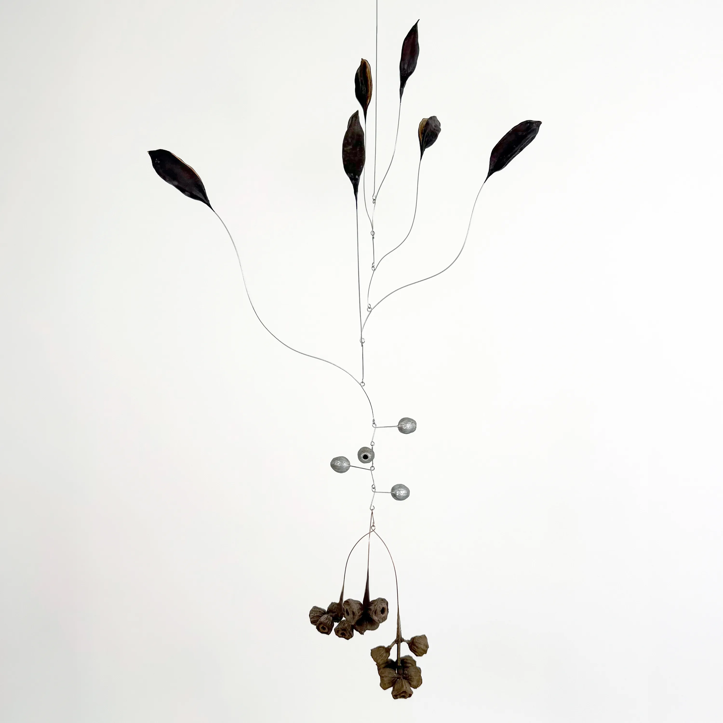 Karolina Maszkiewicz, Tending the Wild at Jane Lombard Gallery