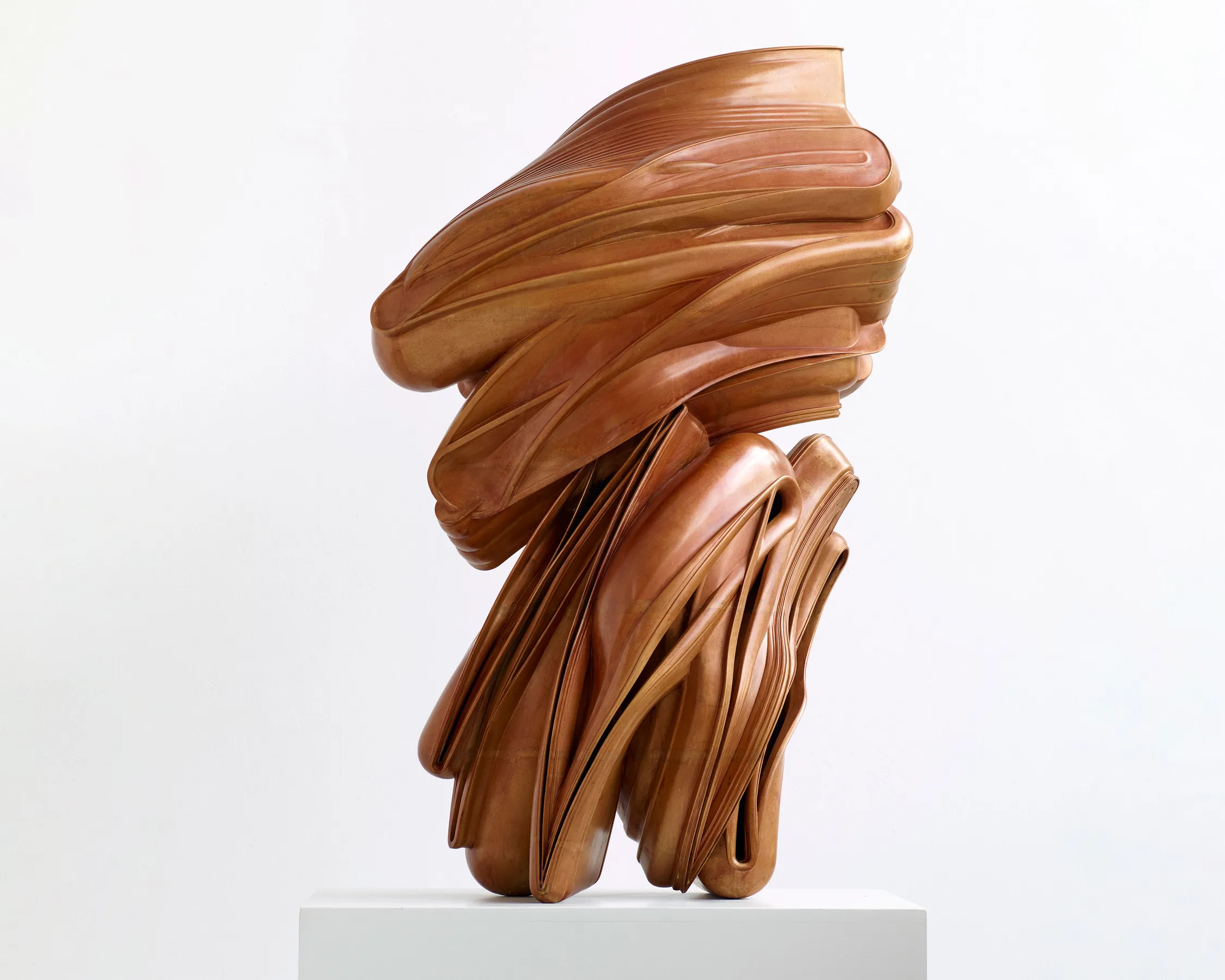 Tony Cragg at Marian Goodman