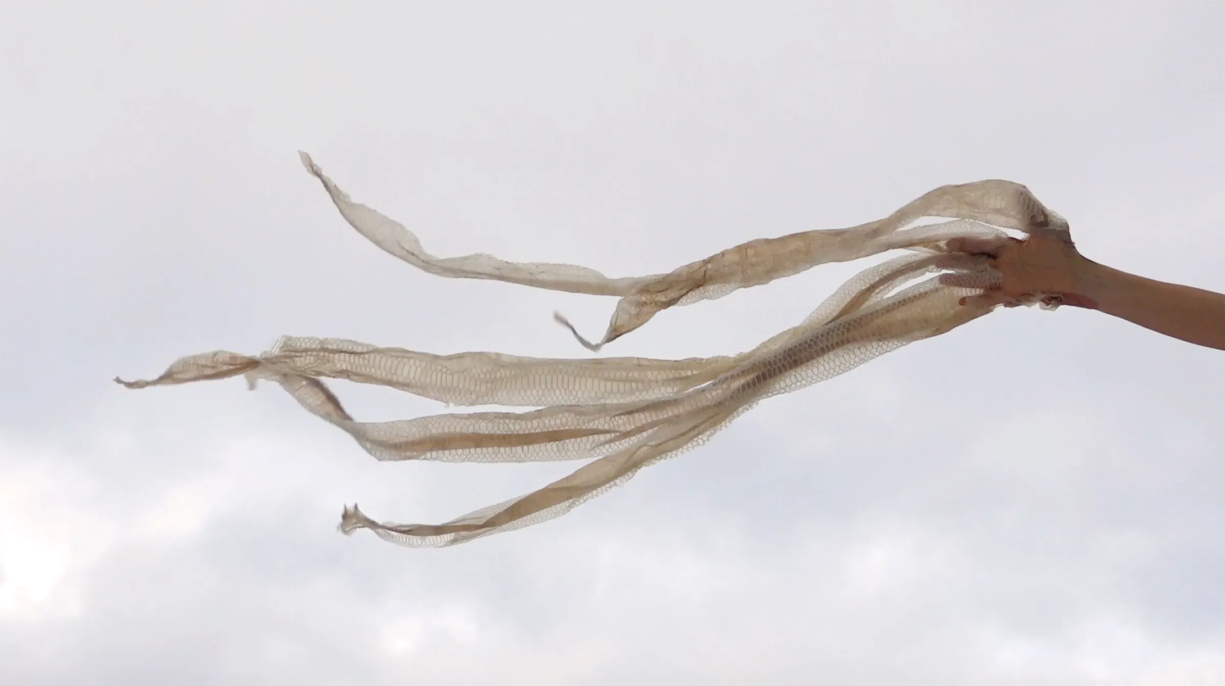 Edith Dekyndt, Notes on What Is What at Marian Goodman