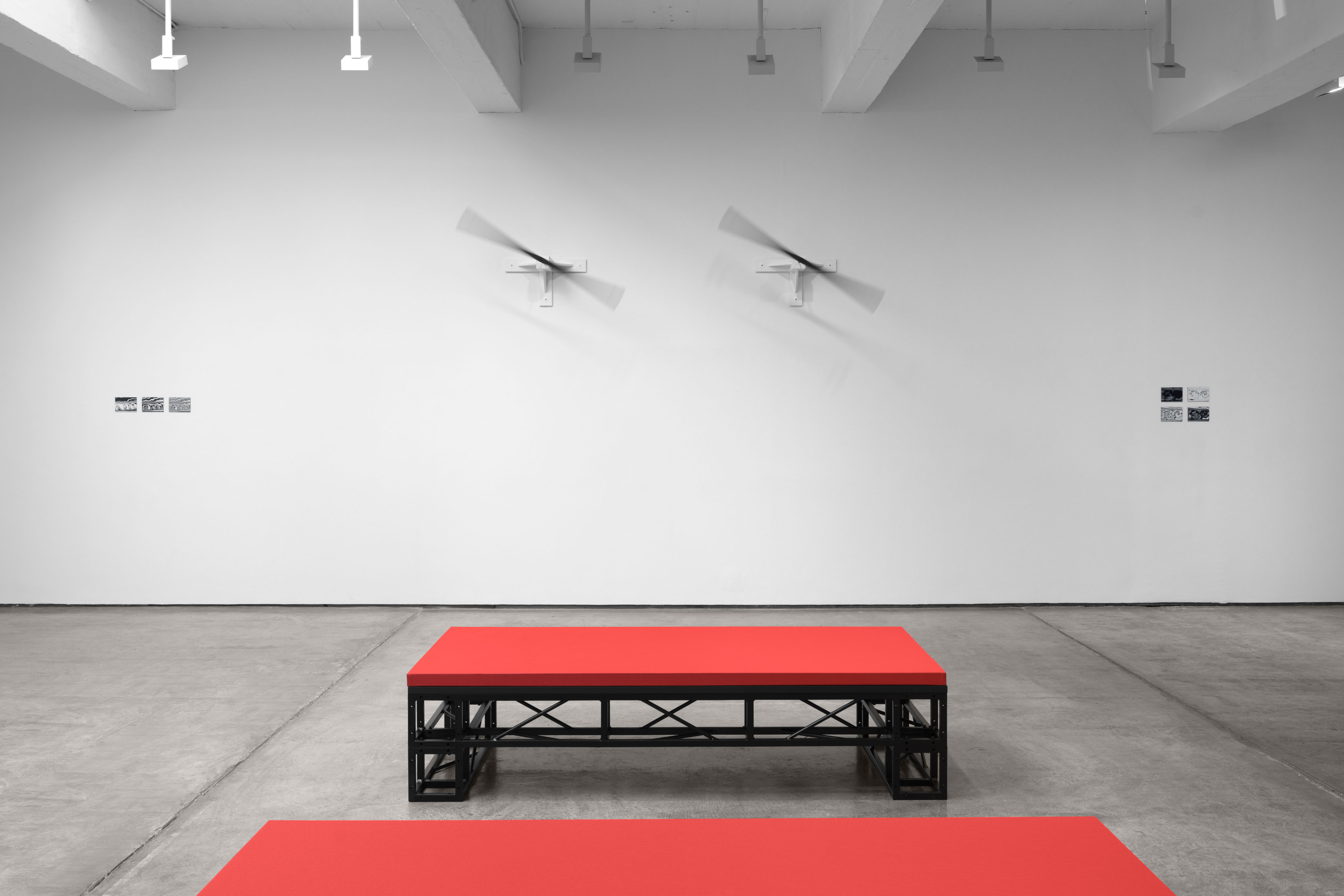 Tauba Auerbach, Zephyr, Zephyr at Paula Cooper, photo 5