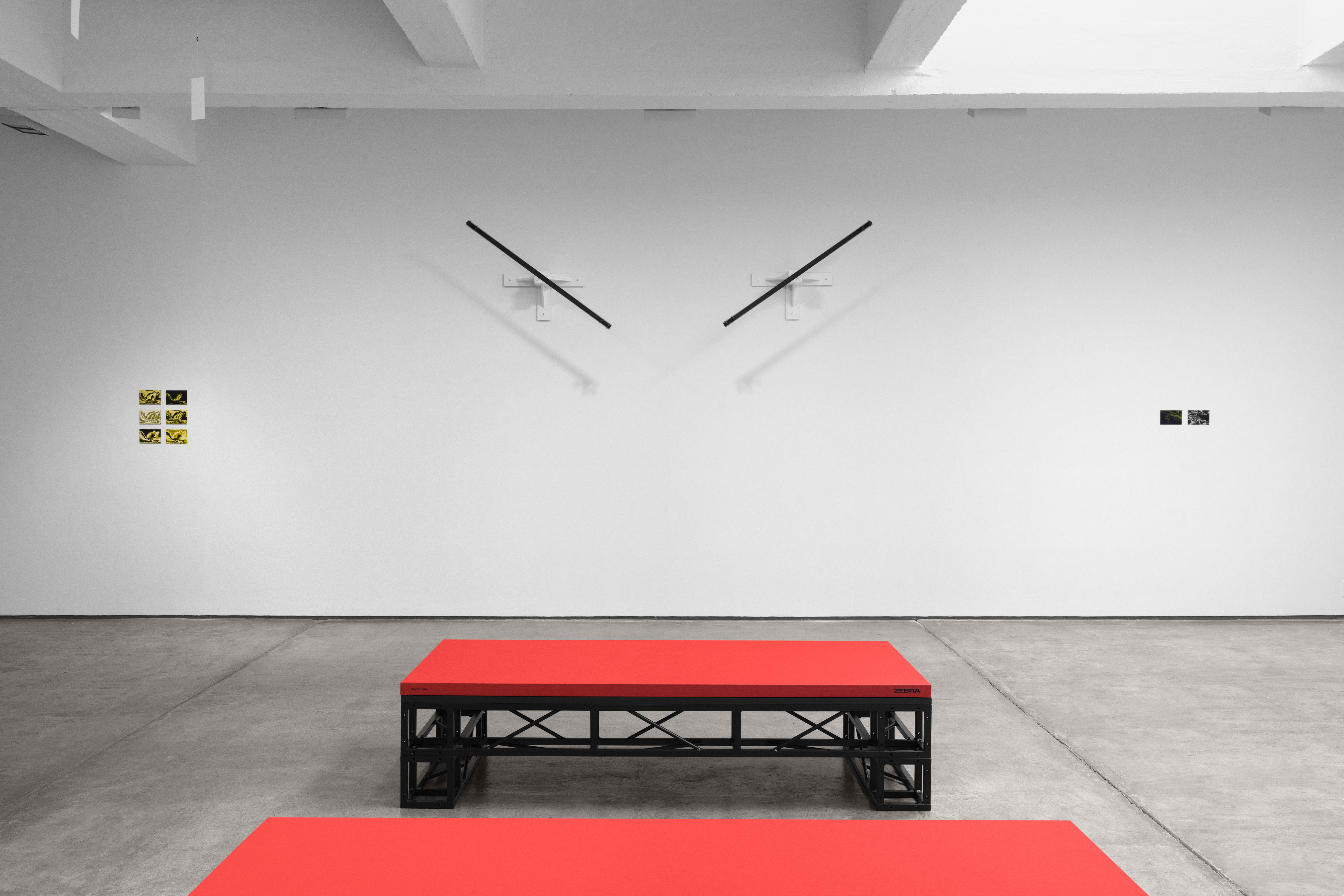 Tauba Auerbach, Zephyr, Zephyr at Paula Cooper, photo 6