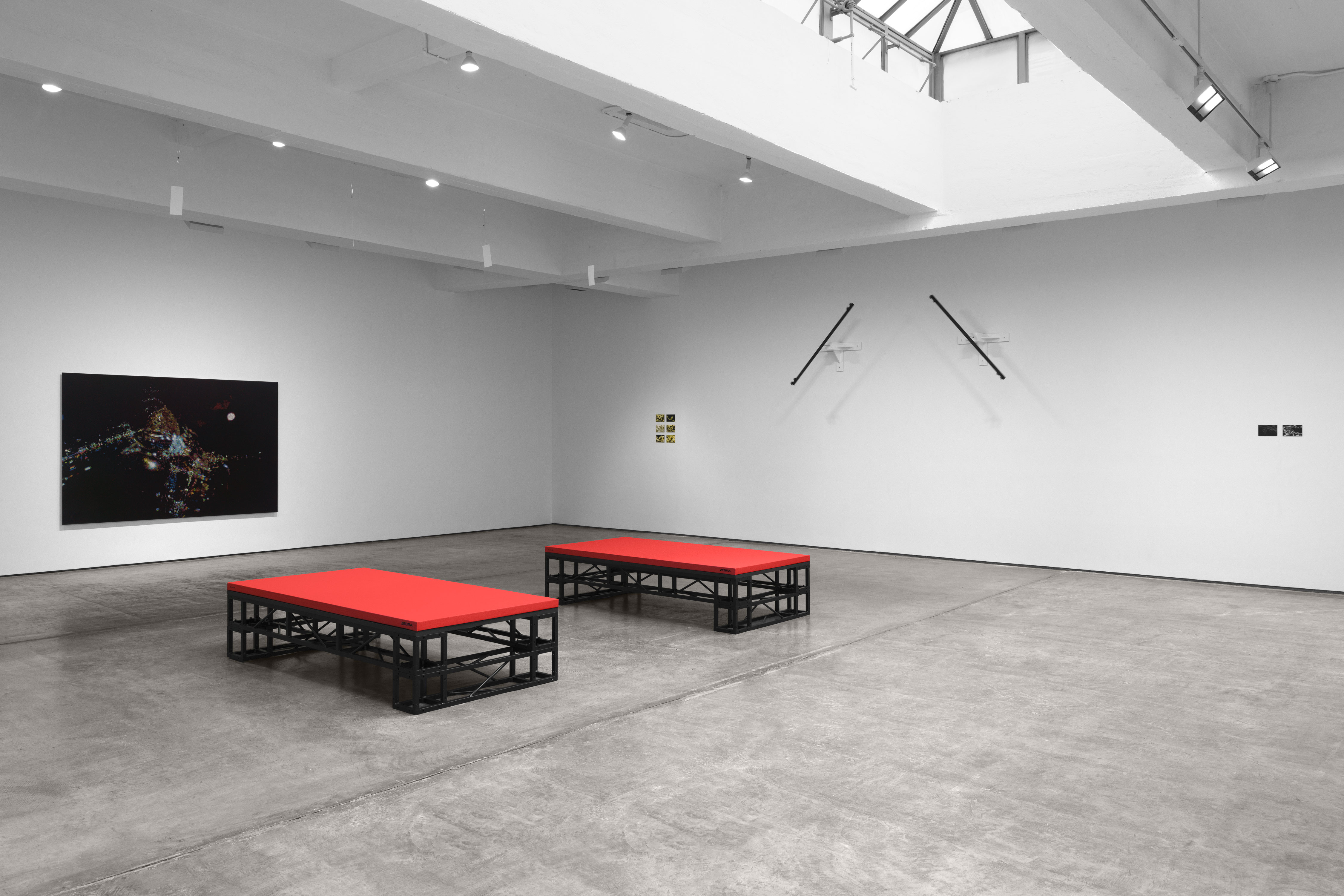 Tauba Auerbach, Zephyr, Zephyr at Paula Cooper, photo 9