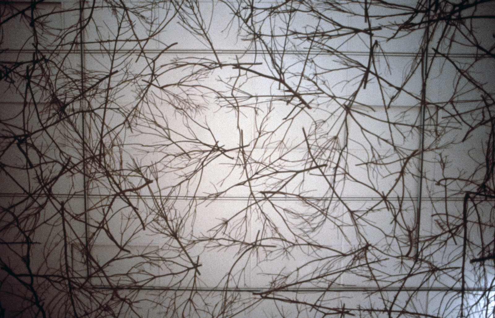Maren Hassinger, image 2 of 2