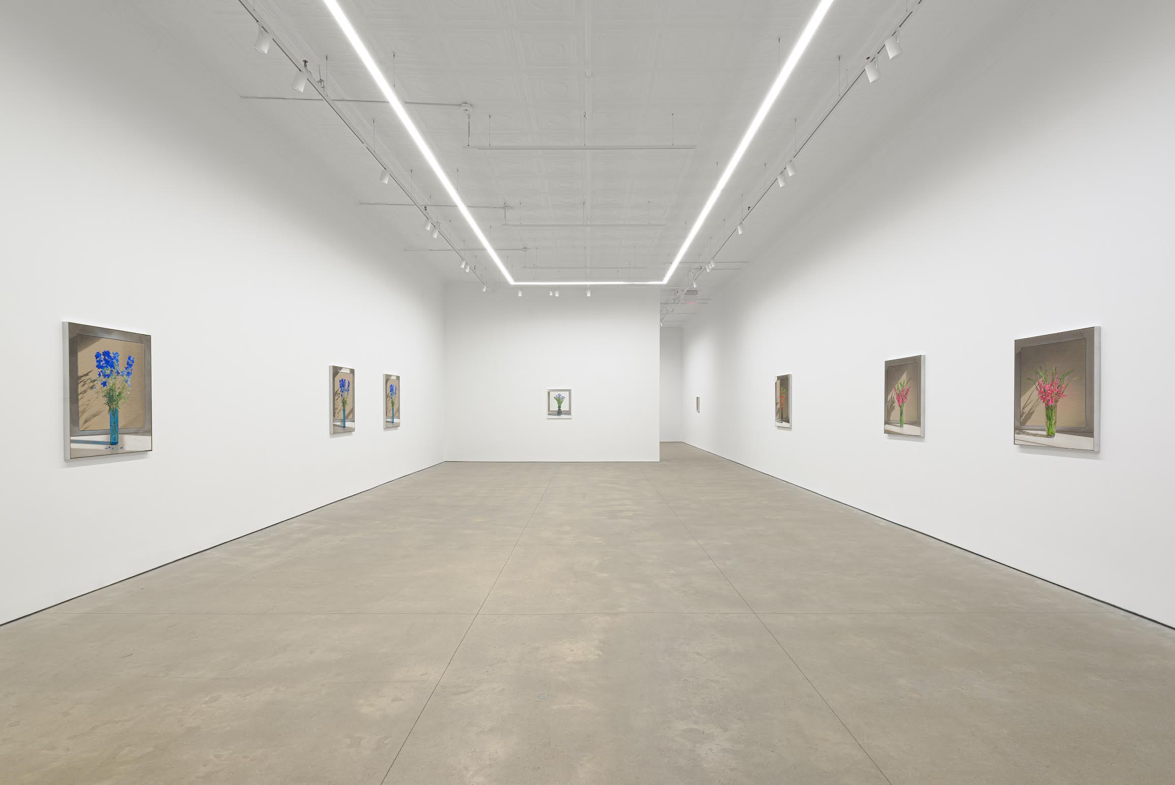 Michael Wilkinson, Fluorochiaroscuro at P·P·O·W