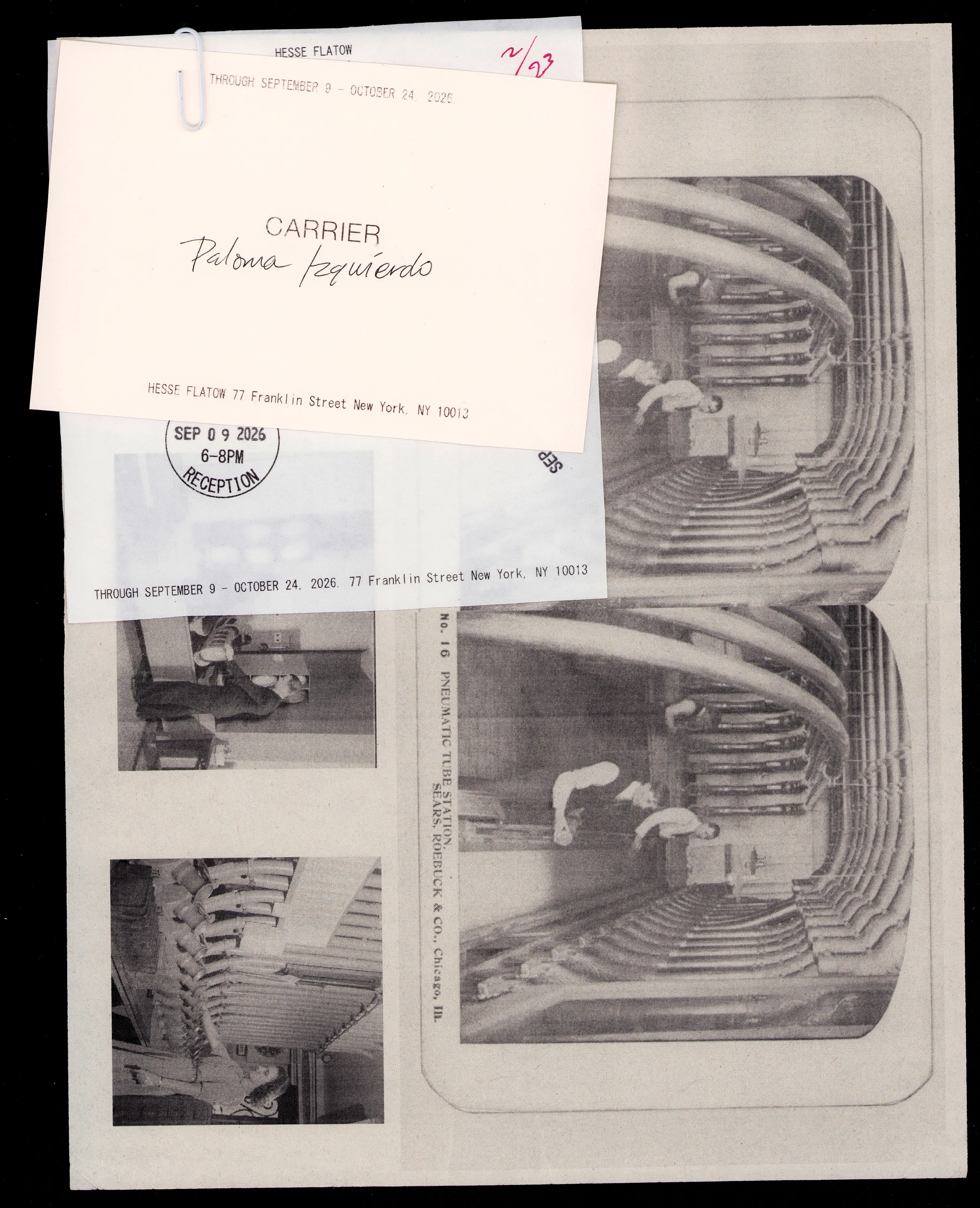 Paloma Izquierdo, Carrier at Hesse Flatow, photo 2